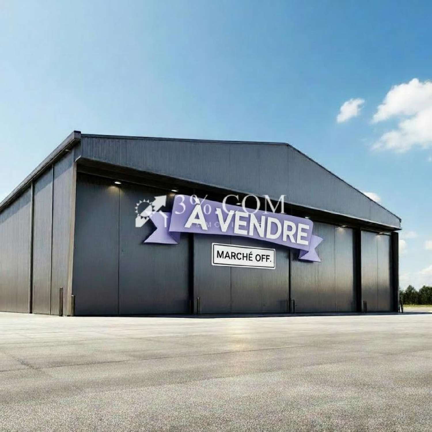  à vendre maison Hochfelden Bas-Rhin 3