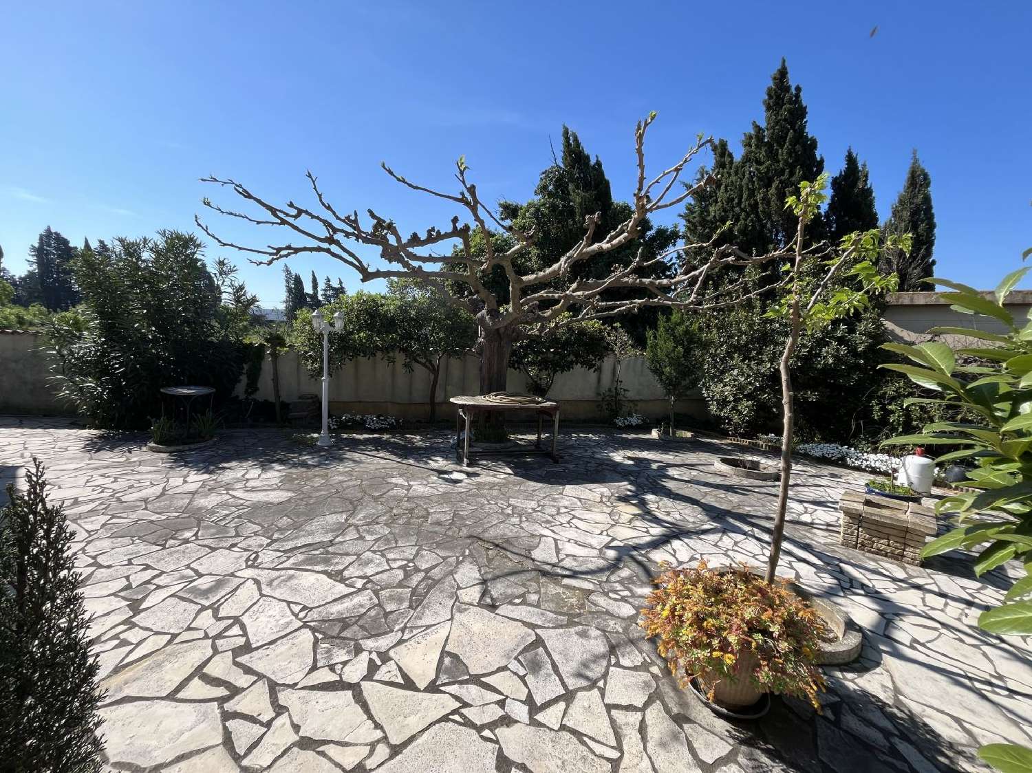 à vendre maison Homps Aude 2