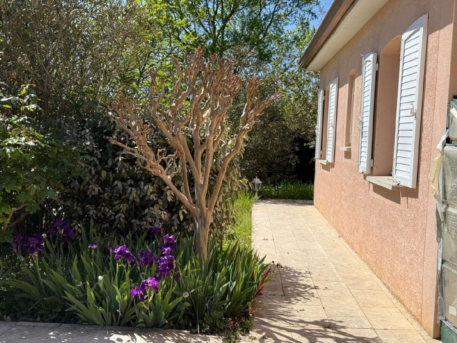  for sale house Jacque Hautes-Pyrénées 7