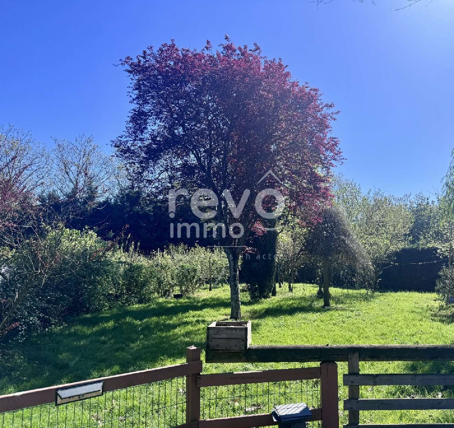  te koop huis Juigné-Bené Maine-et-Loire 8