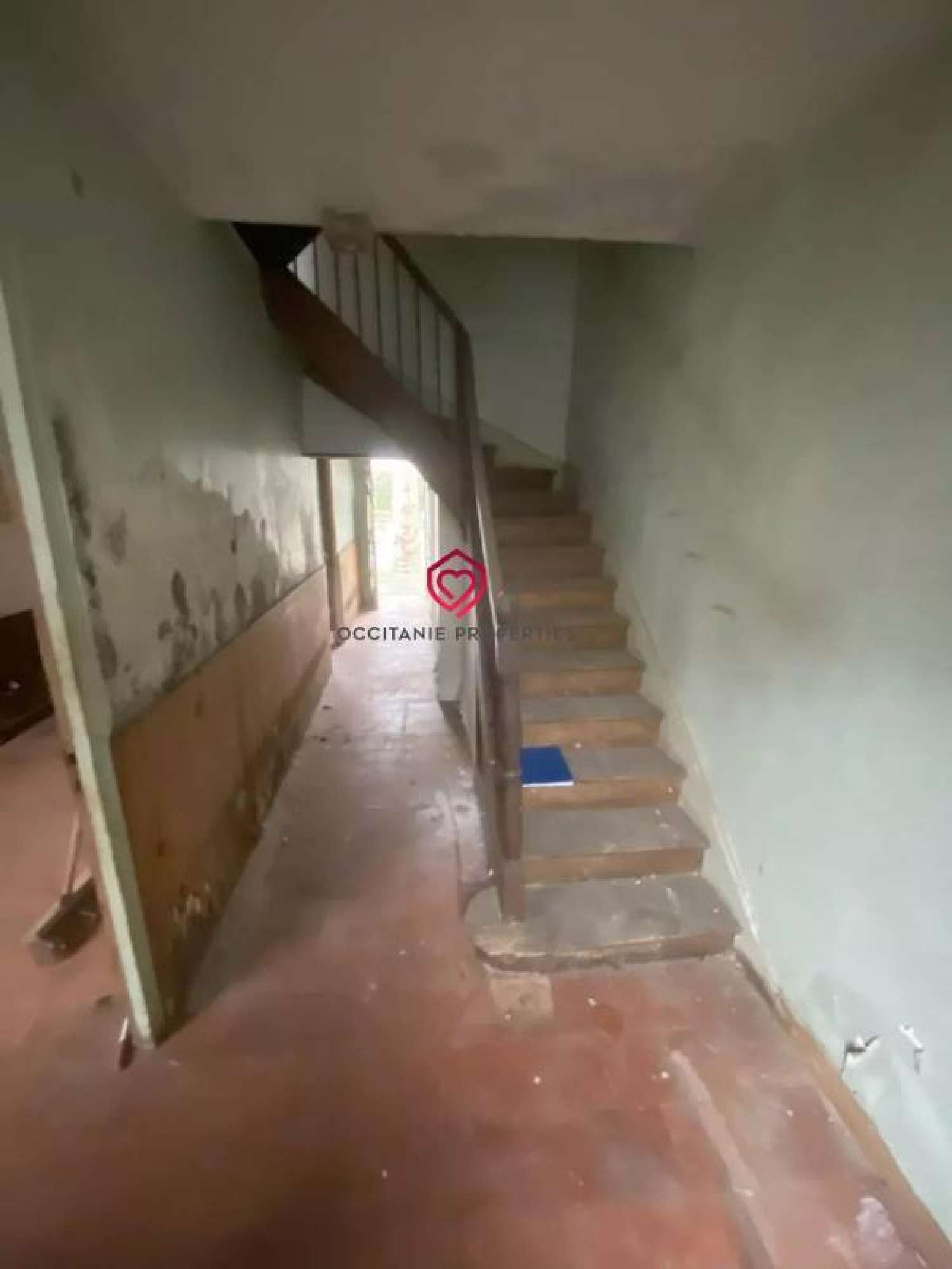  kaufen Haus L'Isle-en-Dodon Haute-Garonne 7