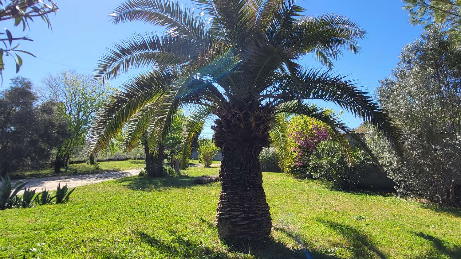  te koop huis La Calmette Gard 5