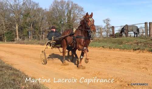La Ferté-Bernard Sarthe maison foto 7314695