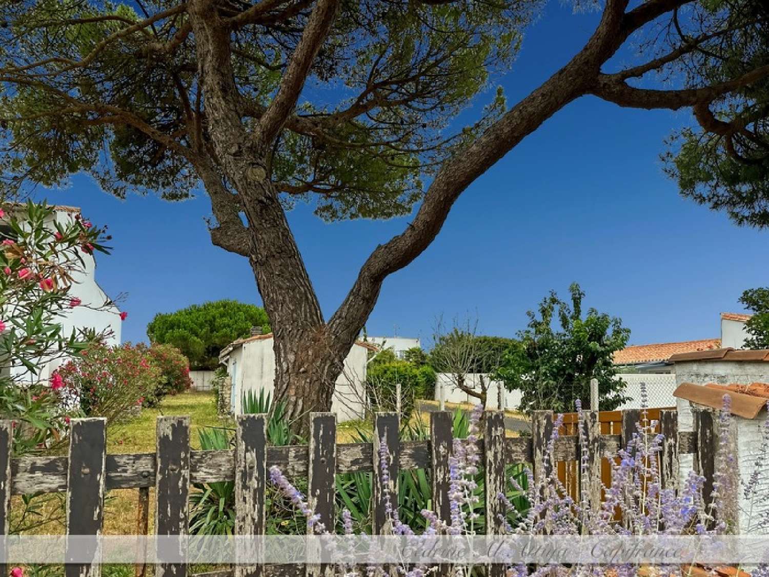  te koop huis La Flotte Charente-Maritime 1