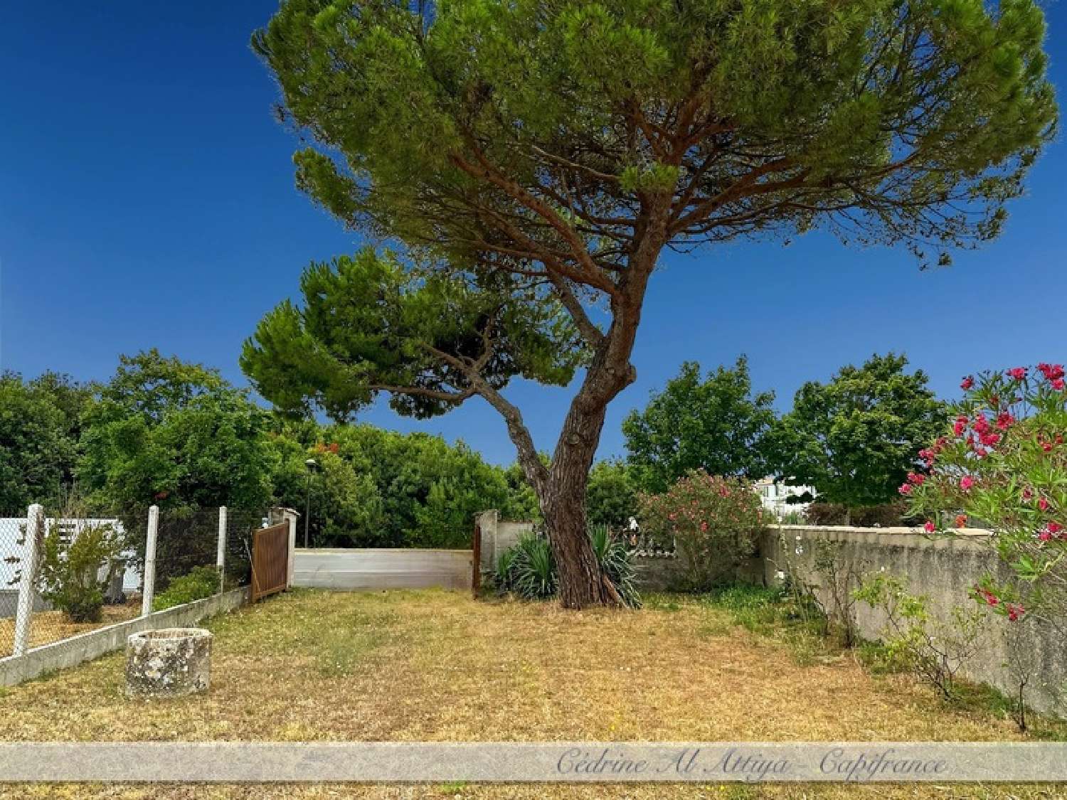  te koop huis La Flotte Charente-Maritime 2