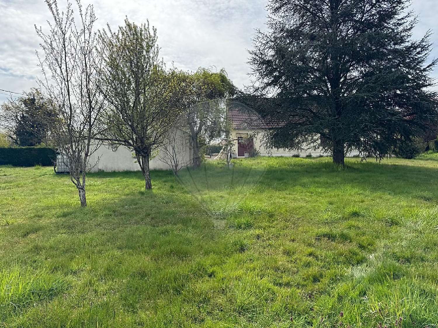  à vendre maison La Guerche-sur-l'Aubois Cher 6