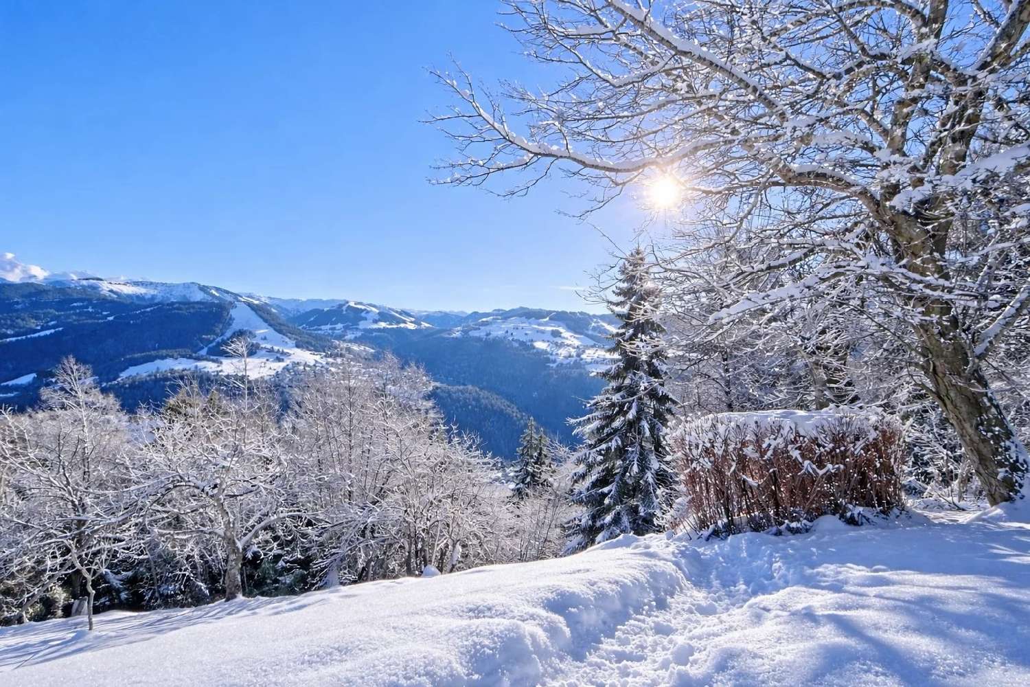  à vendre maison La Motte-Tilly Aube 7