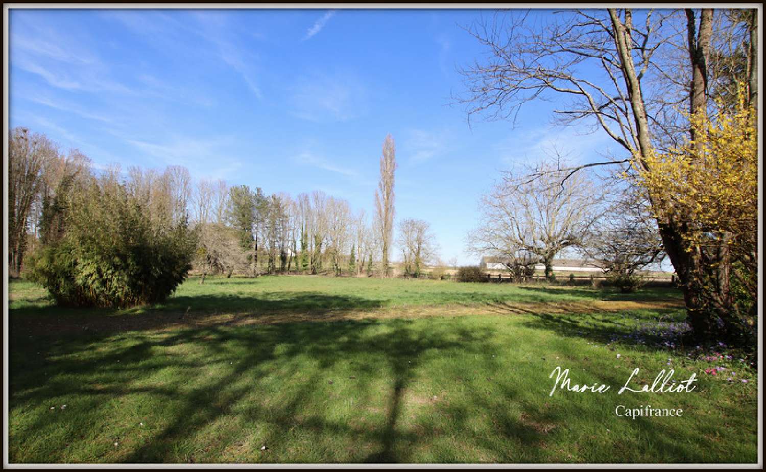  for sale house La Neuville-sur-Essonne Loiret 4