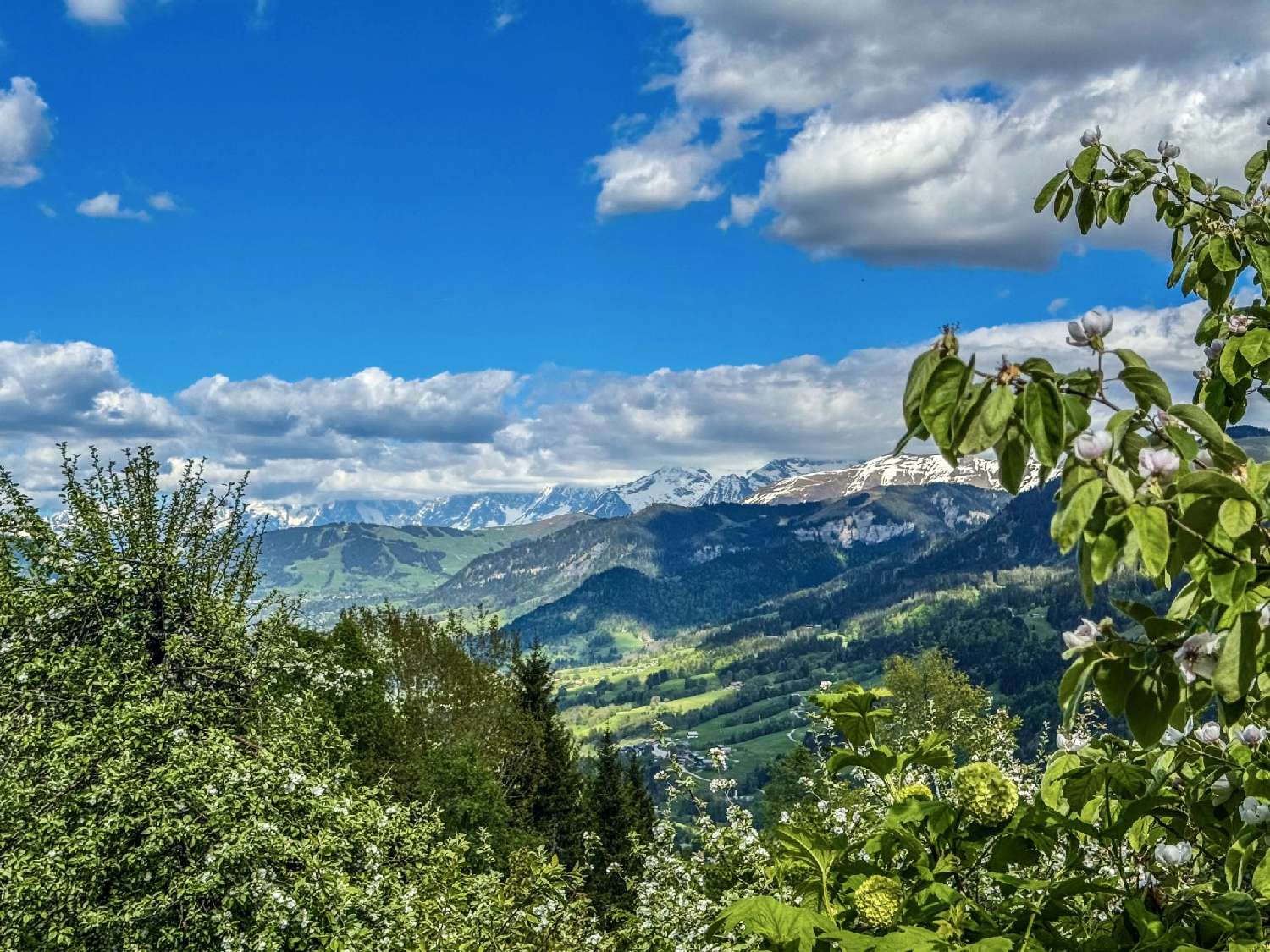 à vendre maison La Saulsotte Aube 3