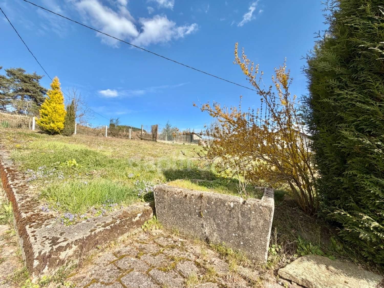  for sale house La Tuilière Loire 7