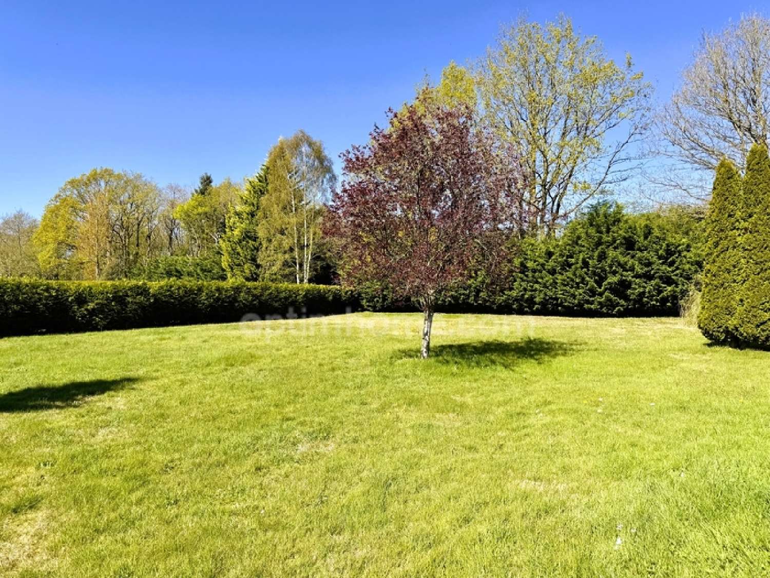  te koop huis La Vespière Calvados 5