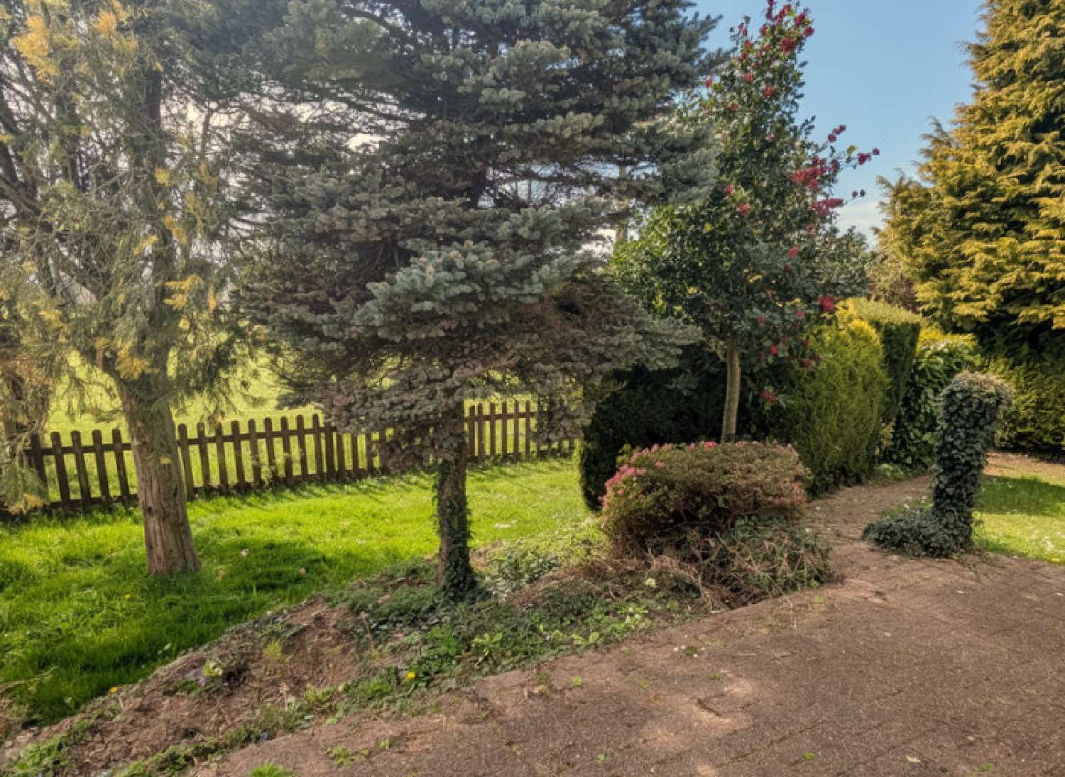  à vendre maison Laignelet Ille-et-Vilaine 3