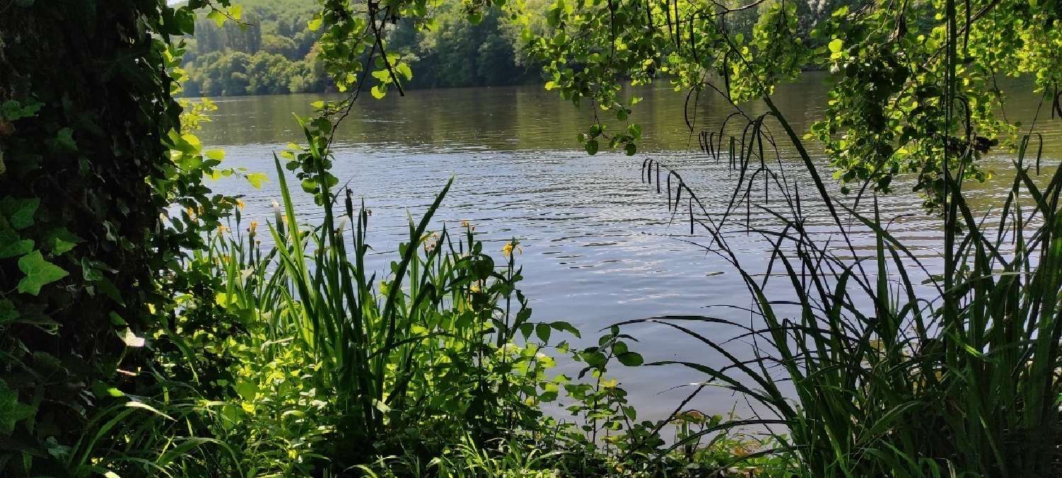  en venta casa Lalinde Dordoña 8