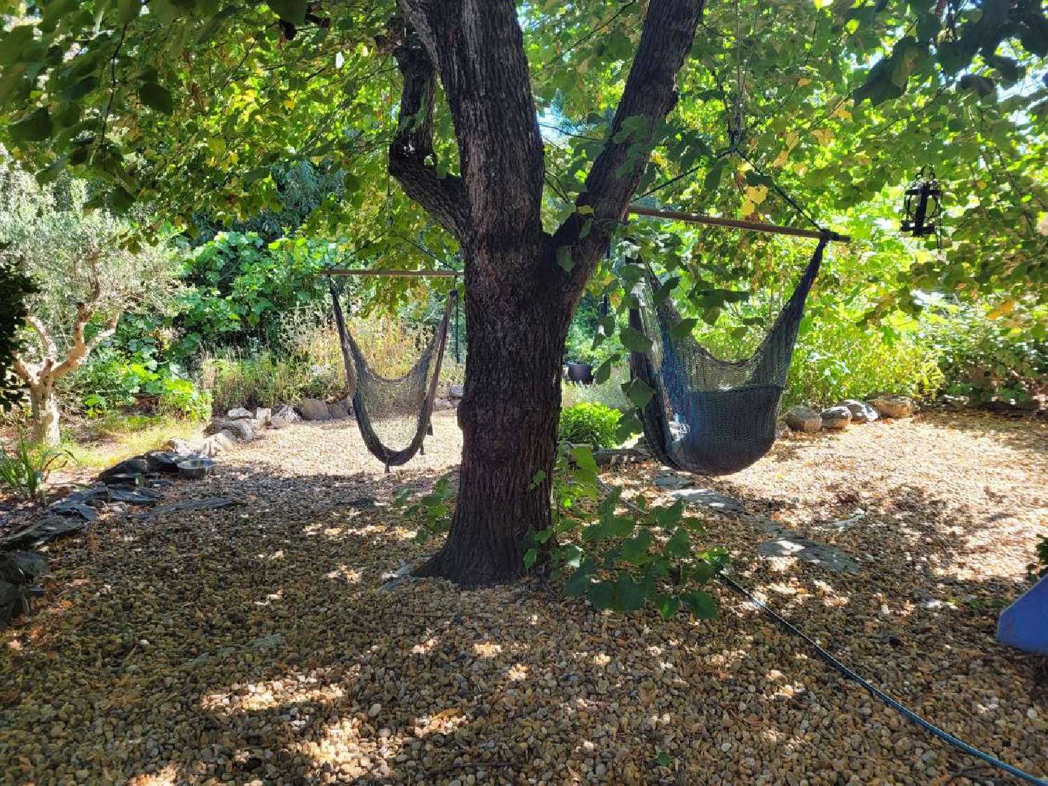  for sale house Laurens Hérault 3