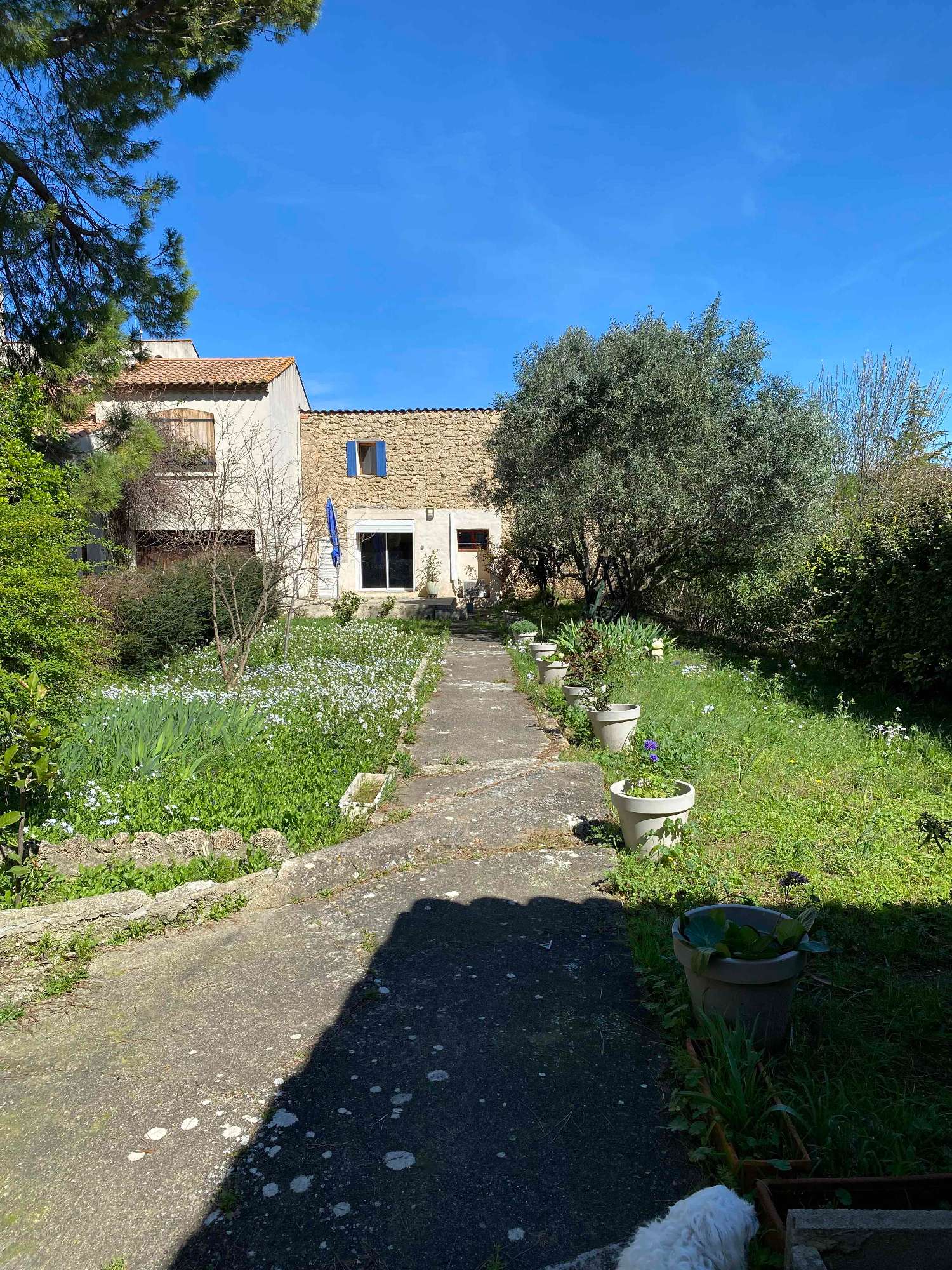  te koop huis Laurens Hérault 5