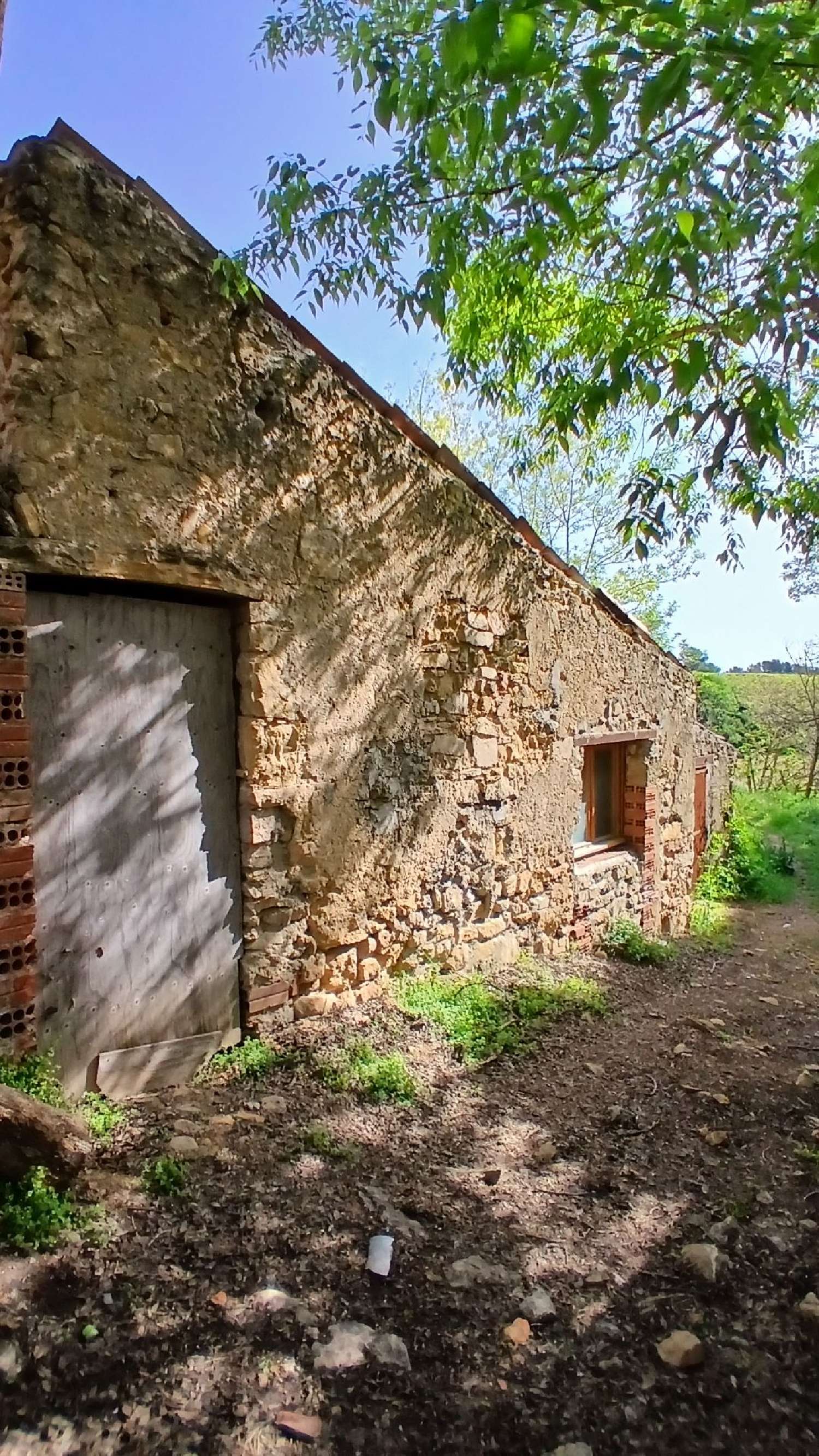  en venta casa Laurens Hérault 6