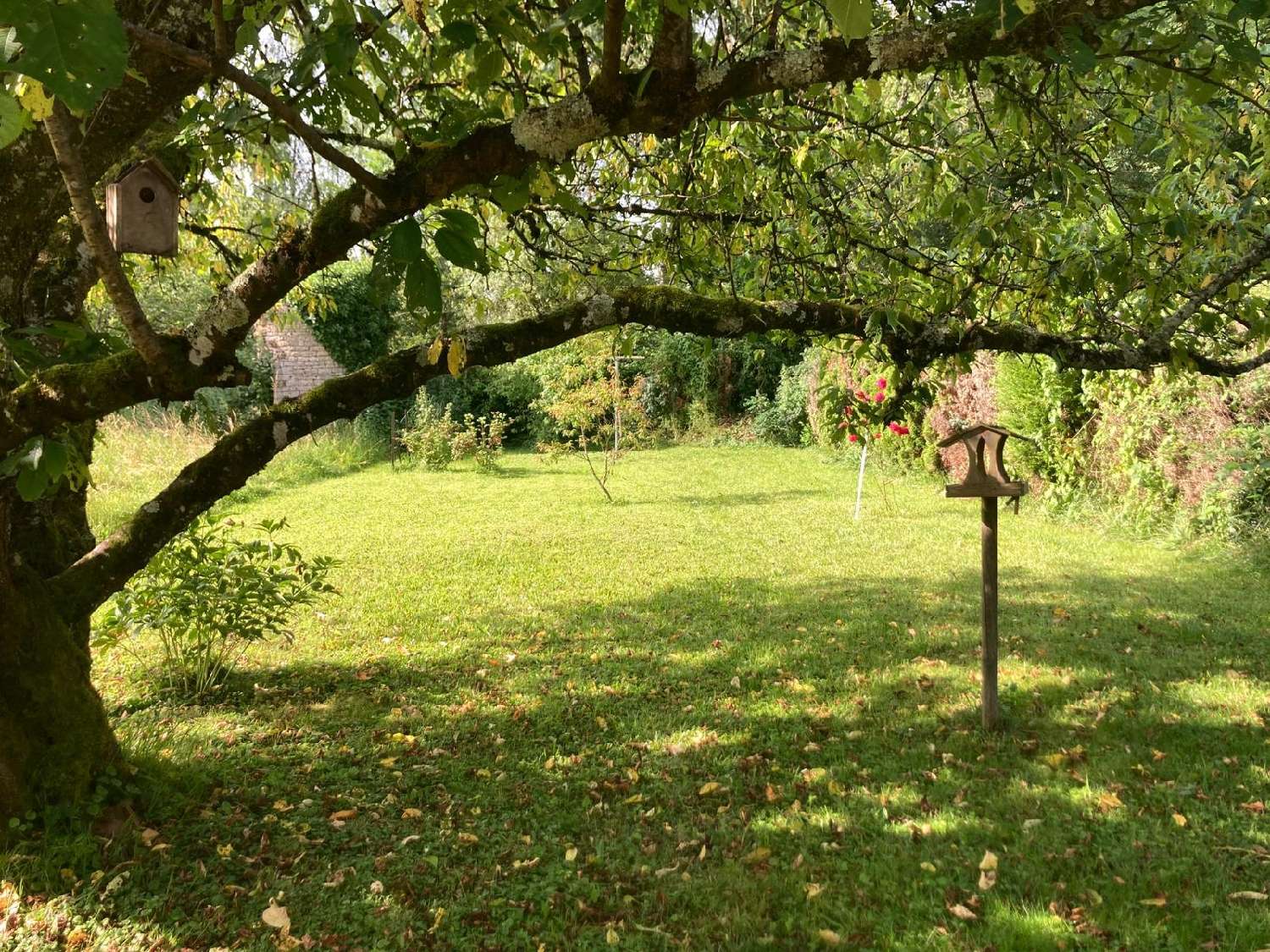  kaufen Haus Lavoncourt Haute-Saône 1