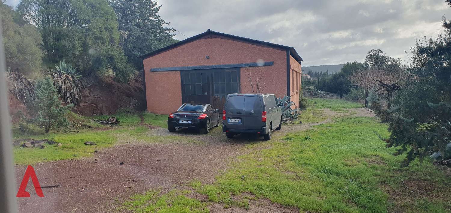  for sale house Le Bosc Hérault 2