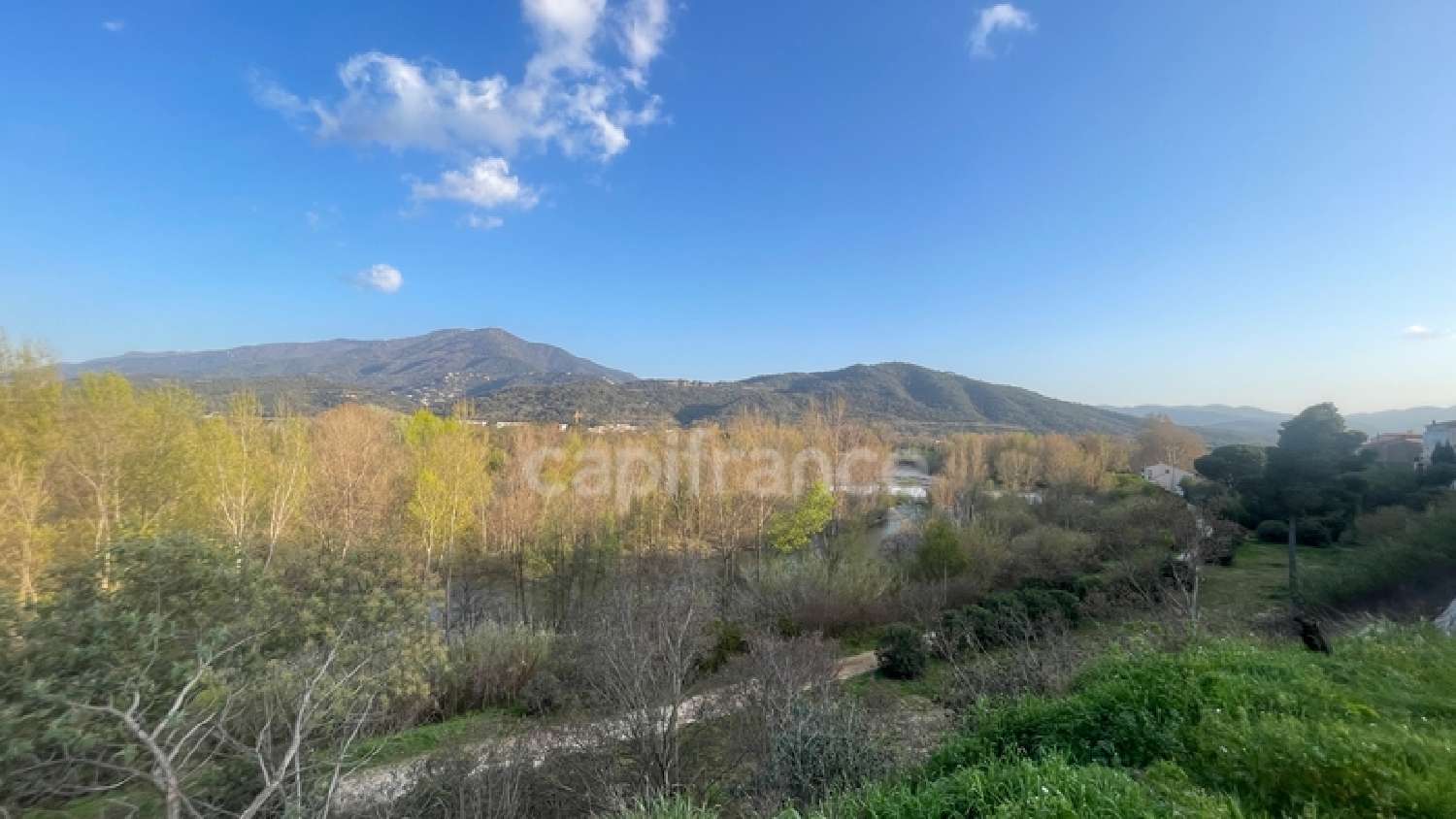  en venta casa Le Boulou Pirineo Oriental 8