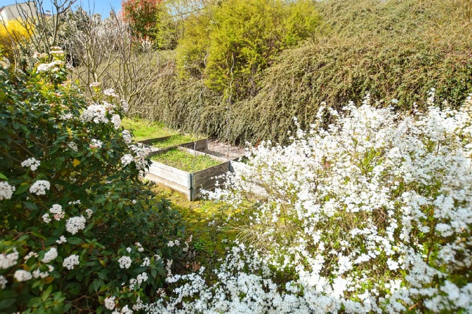 te koop huis Le Creusot Saône-et-Loire 5