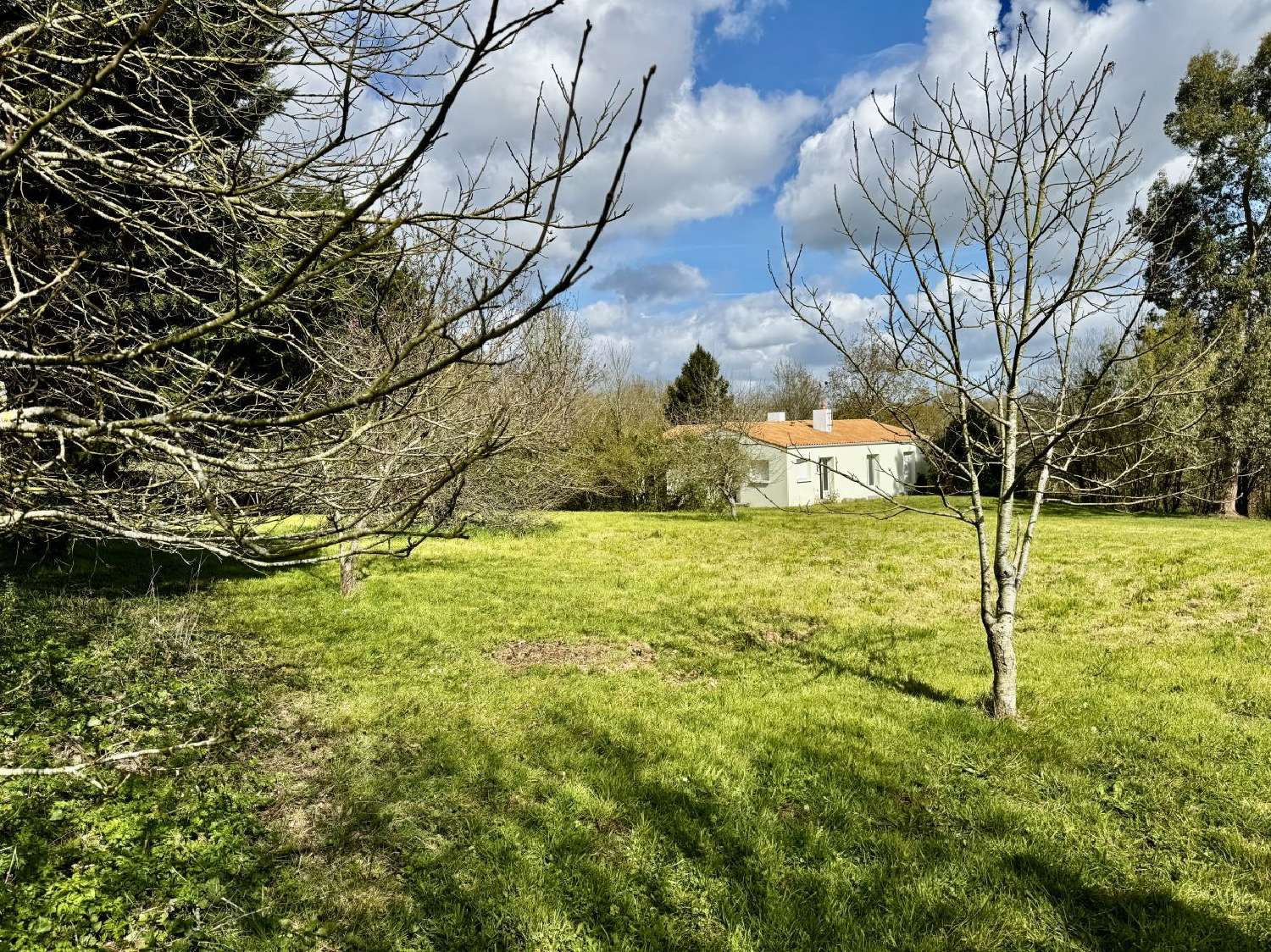  à vendre maison Le Girouard Vendée 1