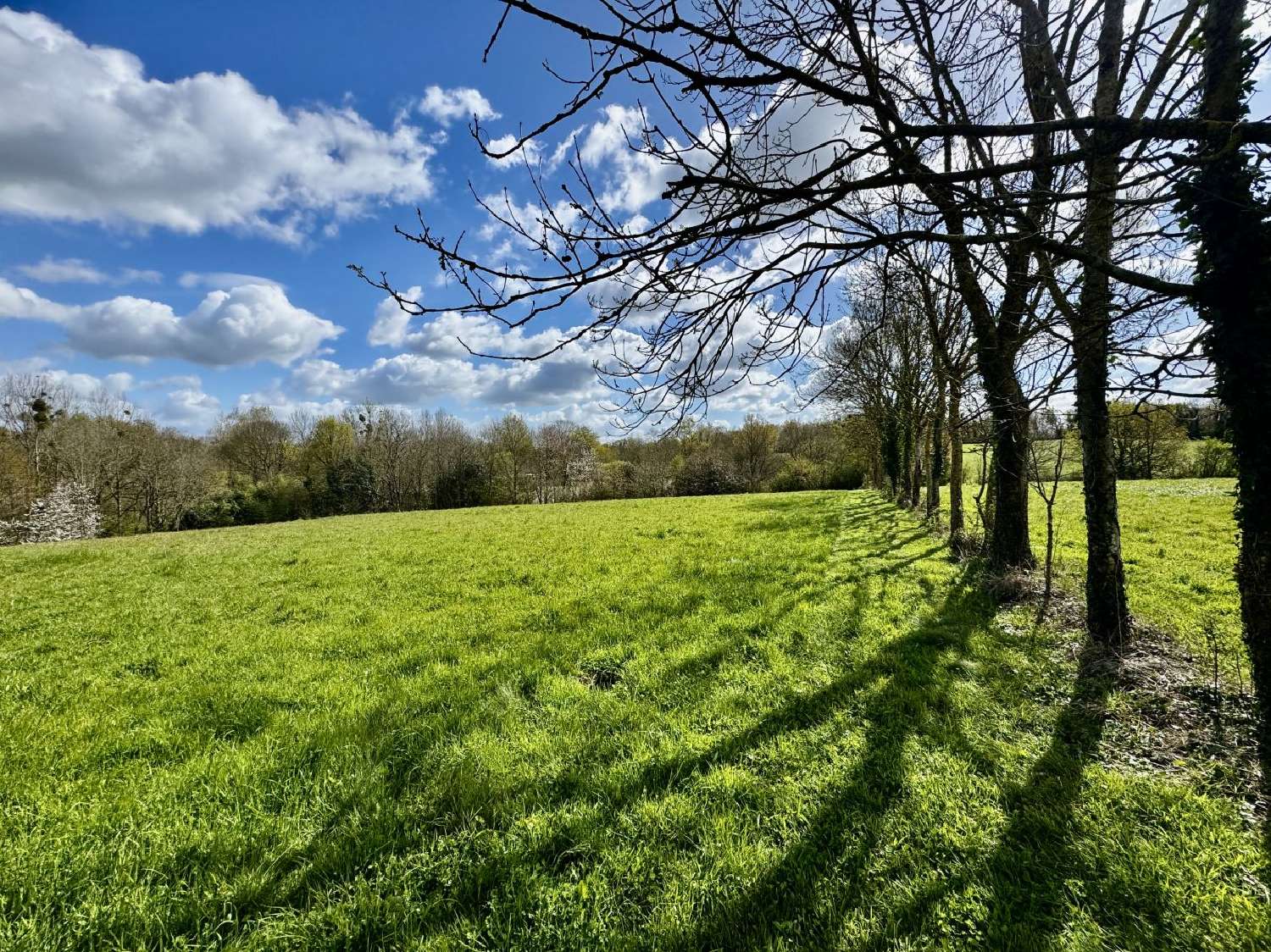  kaufen Haus Le Girouard Vendée 4
