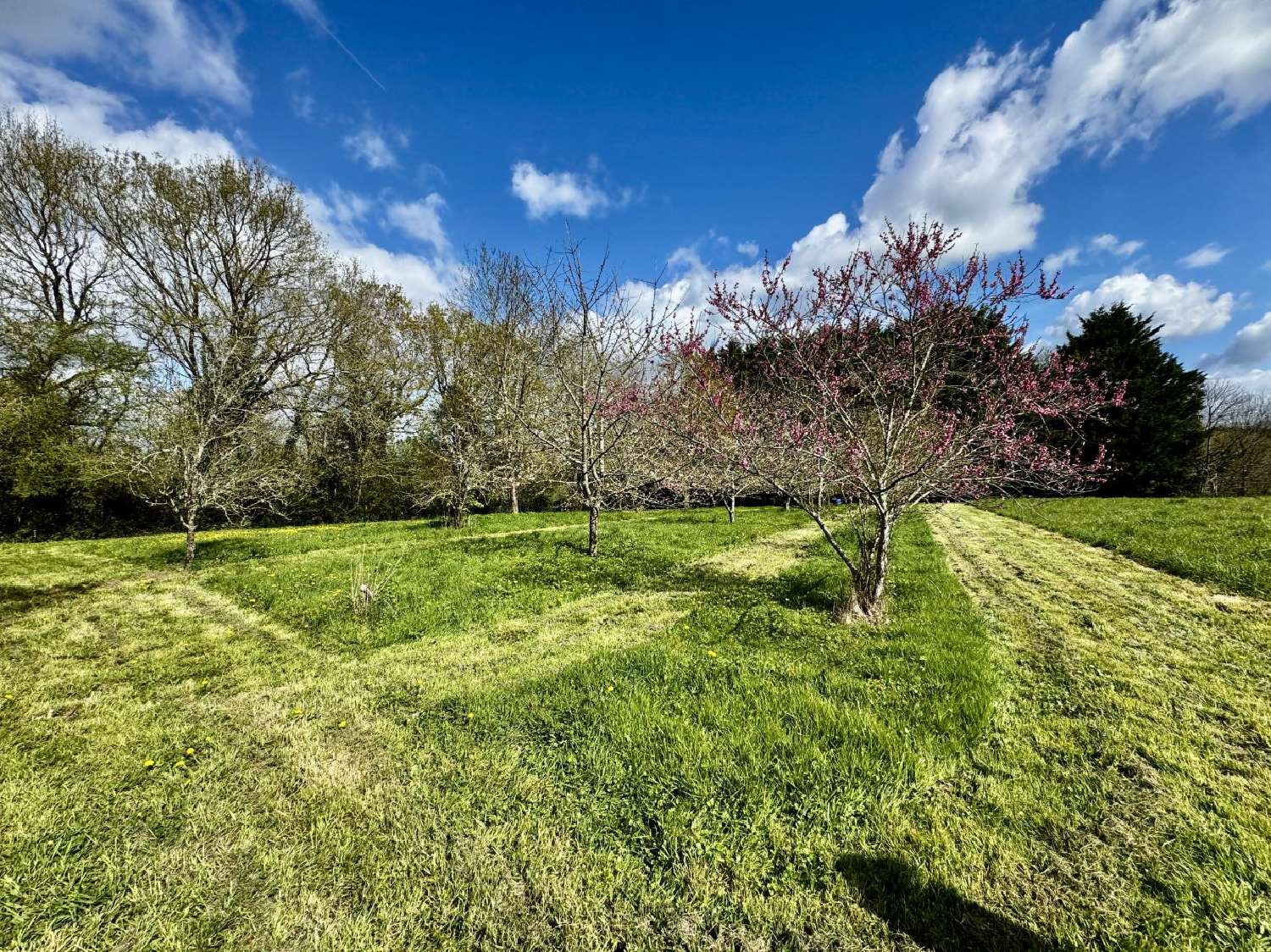  kaufen Haus Le Girouard Vendée 5