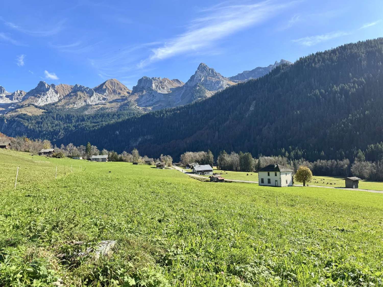  for sale house Le Grand-Bornand Haute-Savoie 1