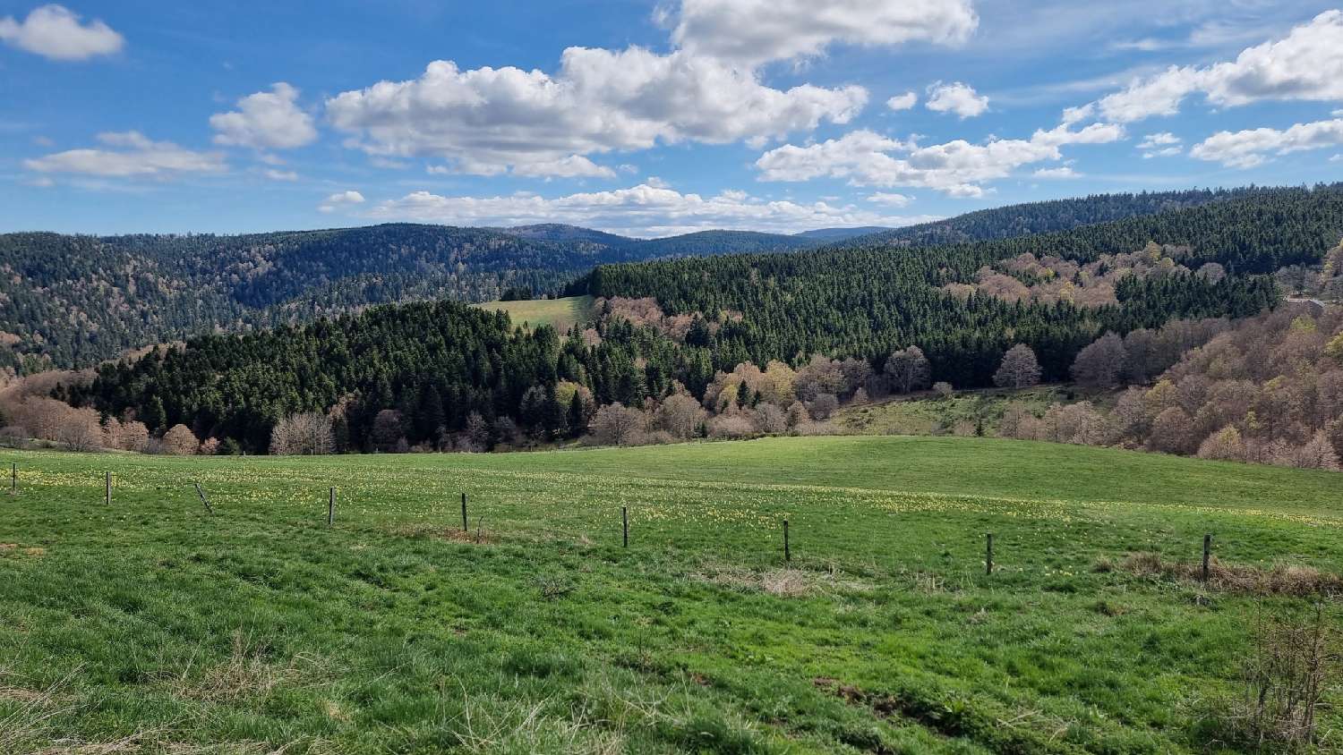  te koop huis Le Lac-d'Issarlès Ardèche 3