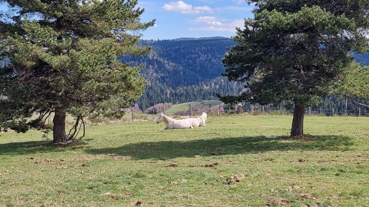  te koop huis Le Lac-d'Issarlès Ardèche 5