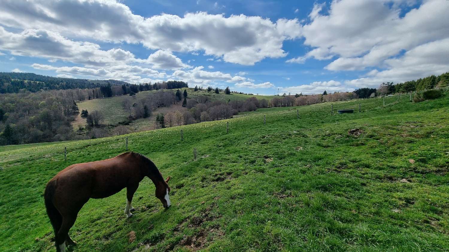  te koop huis Le Lac-d'Issarlès Ardèche 7