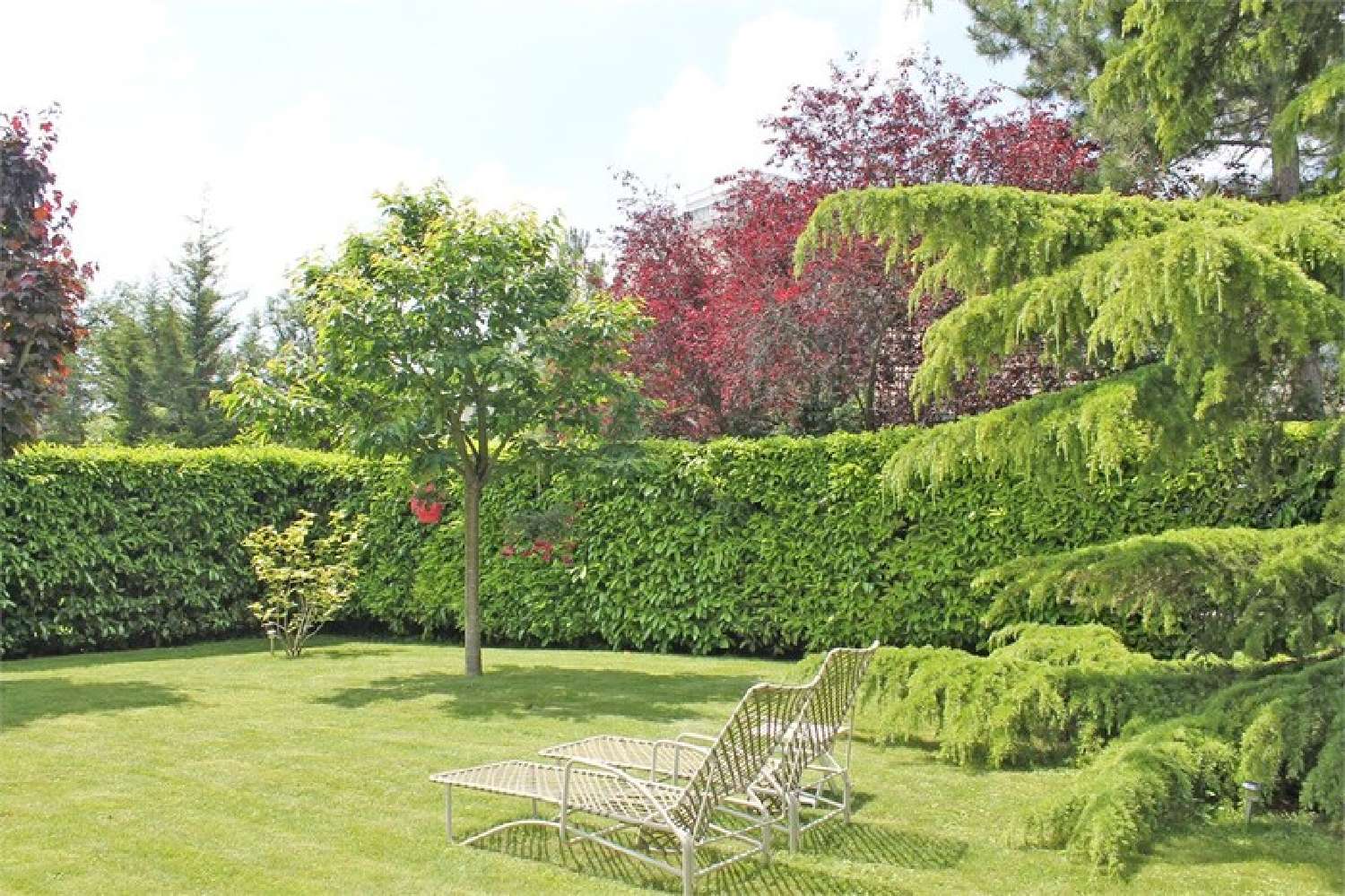  en venta casa Le Pecq Yvelines 8