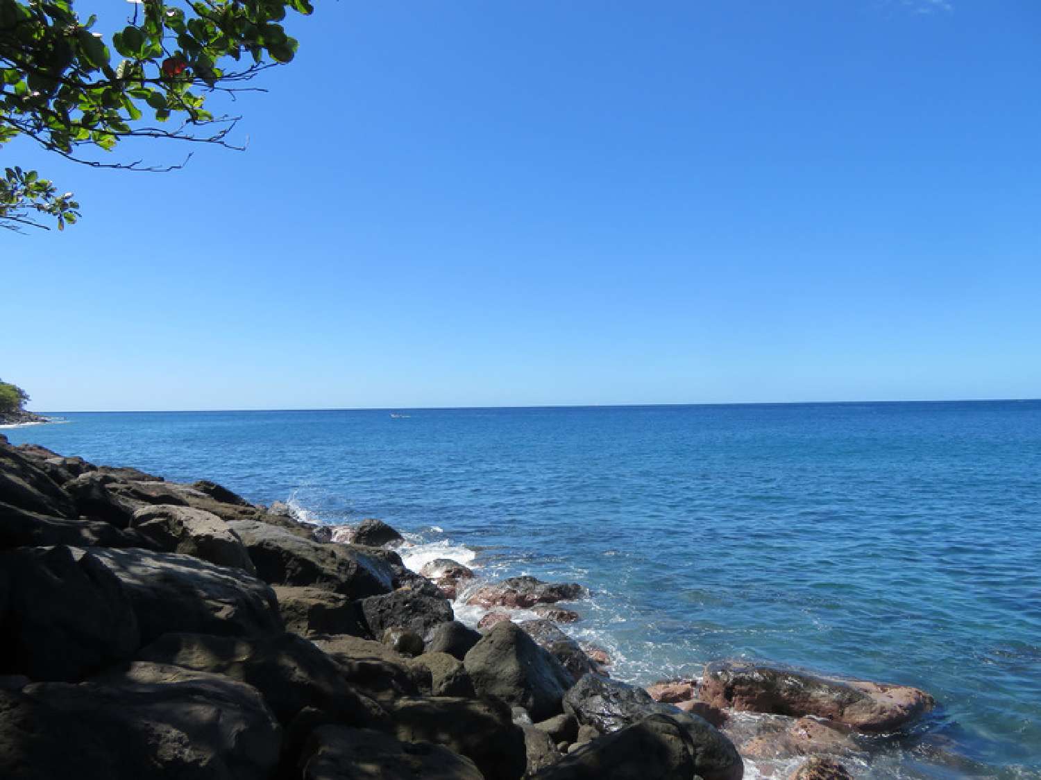  en venta casa Le Prêcheur Martinique 2