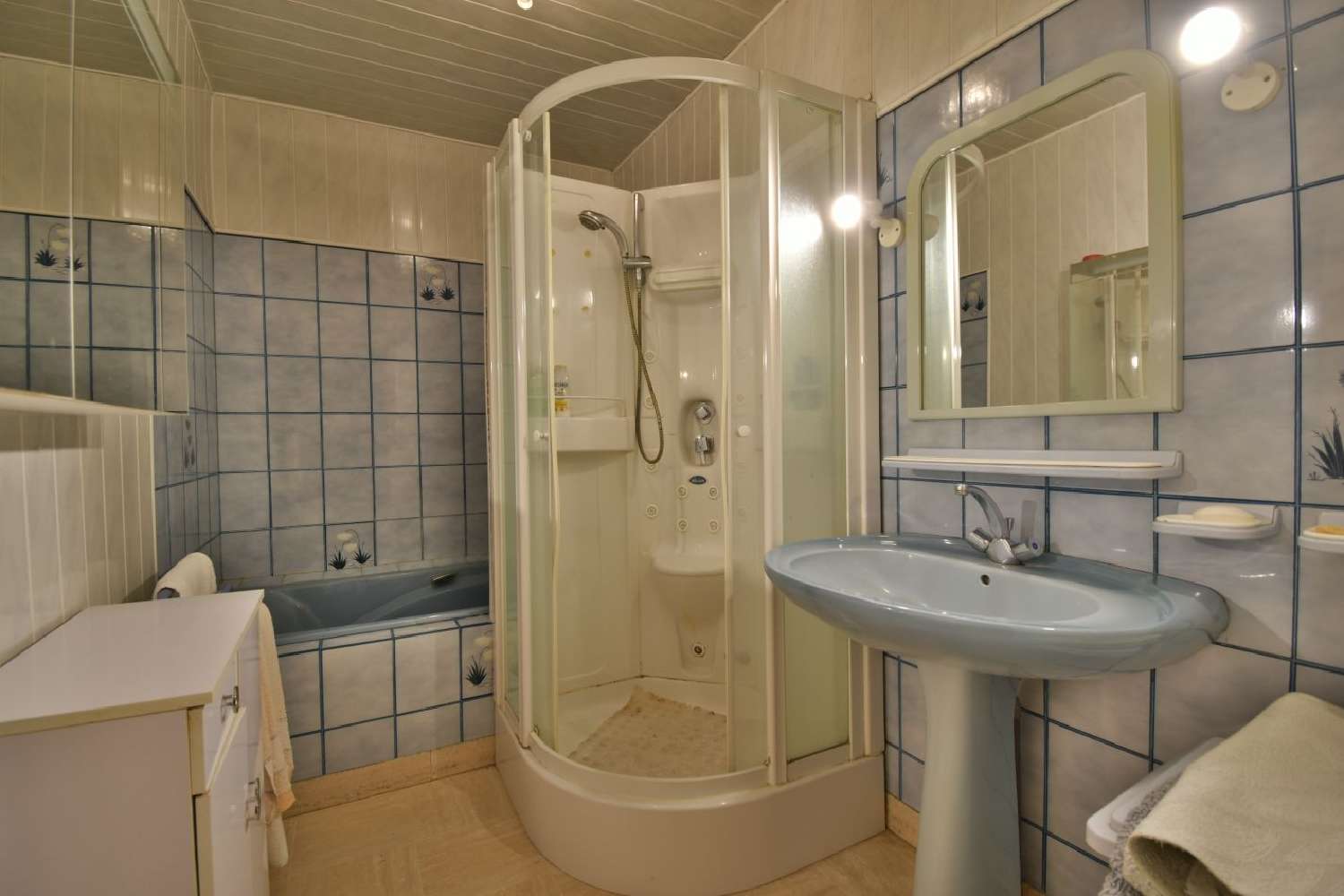 à vendre maison Le Puy-Saint-Bonnet Maine-et-Loire 5