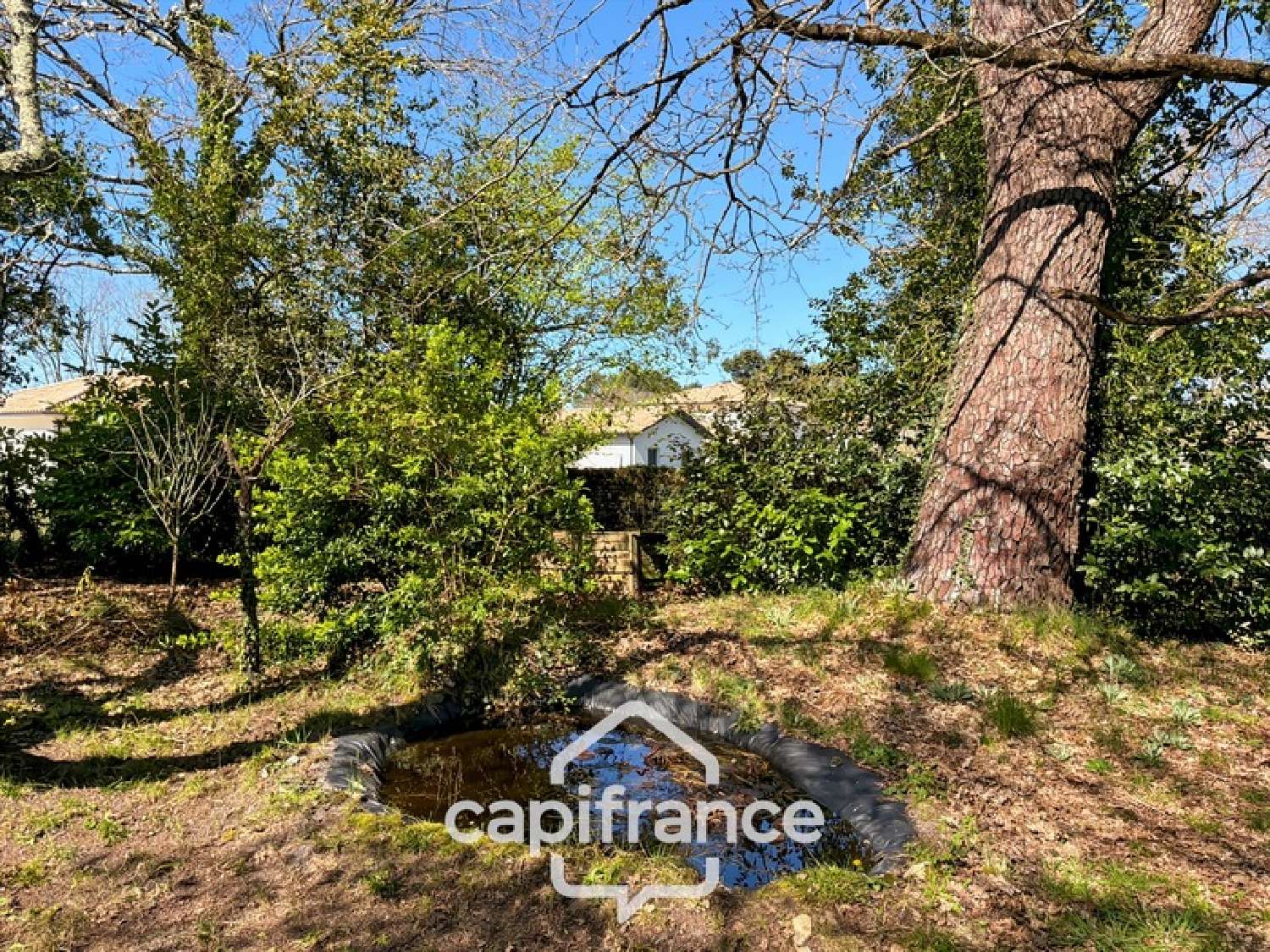 for sale house Le Teich Gironde 8