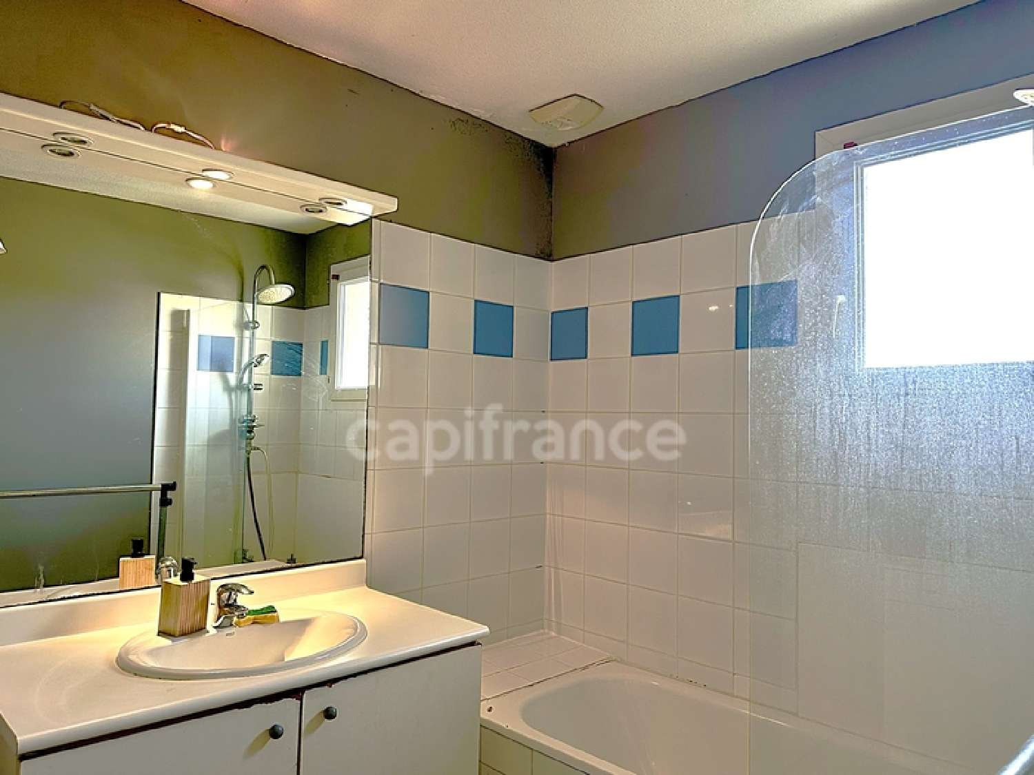  for sale house Le Teich Gironde 8