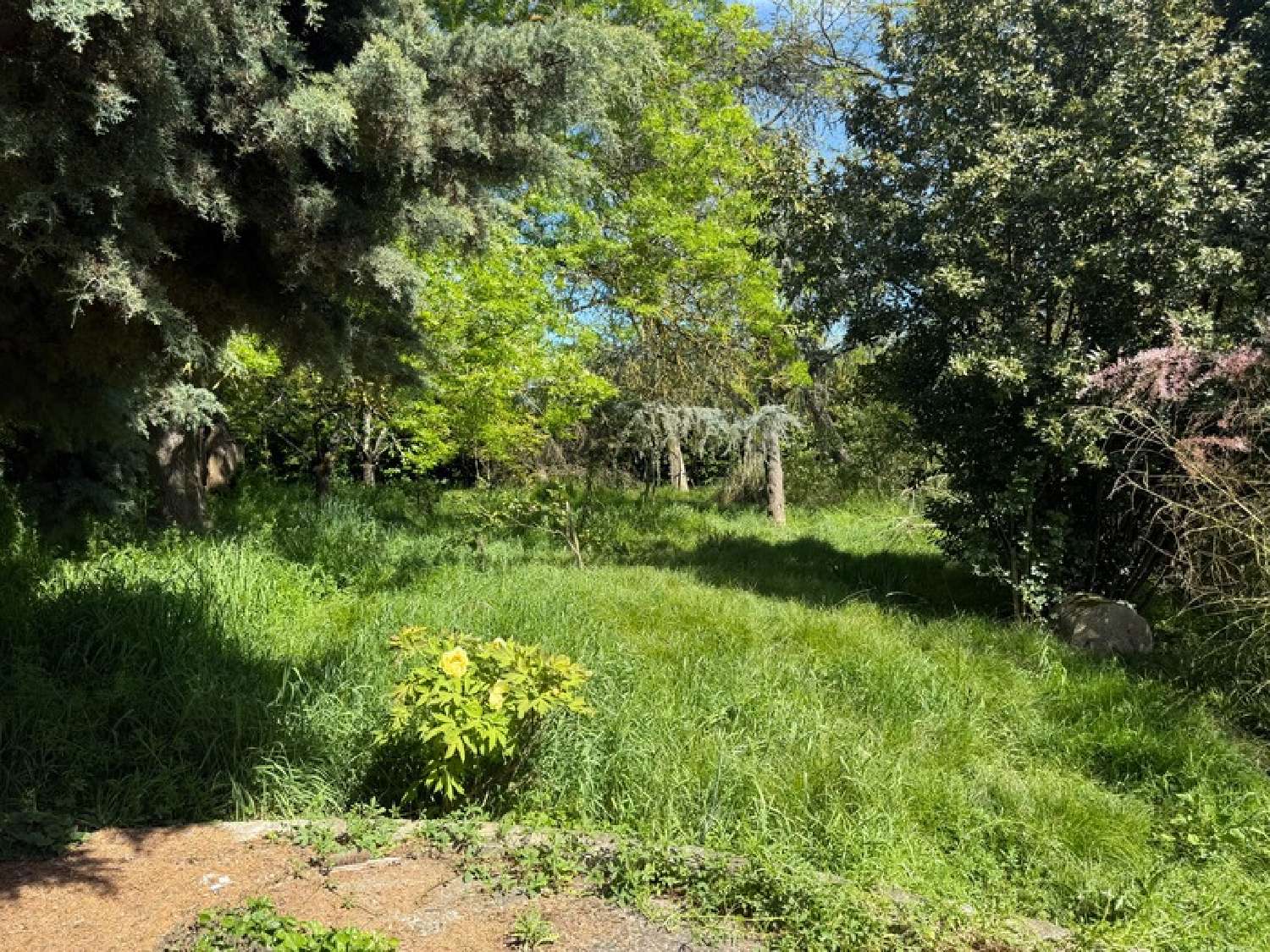  for sale house Lévignac Haute-Garonne 5