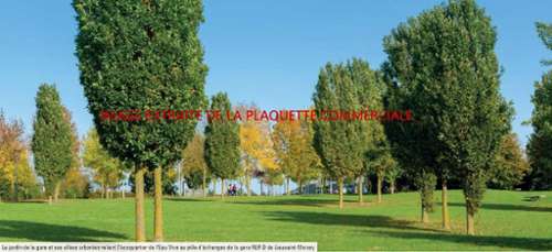 Lieusaint Seine-et-Marne maison foto 7303793