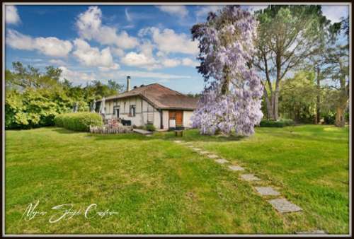 Linxe Landes Haus Bild 7315079