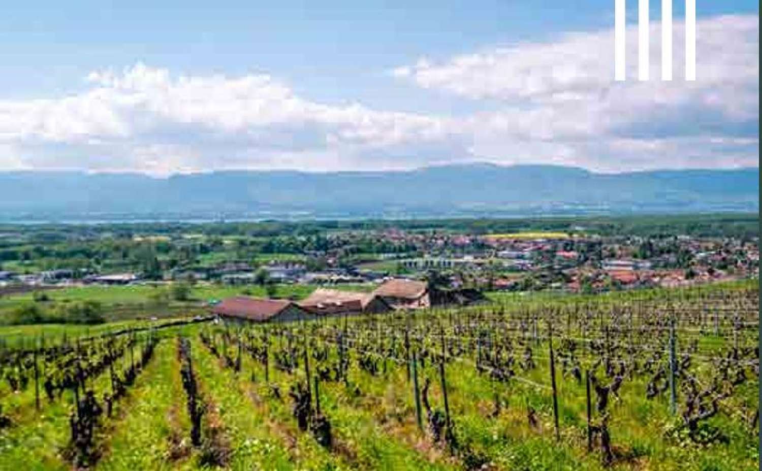  te koop huis Loisin Haute-Savoie 3