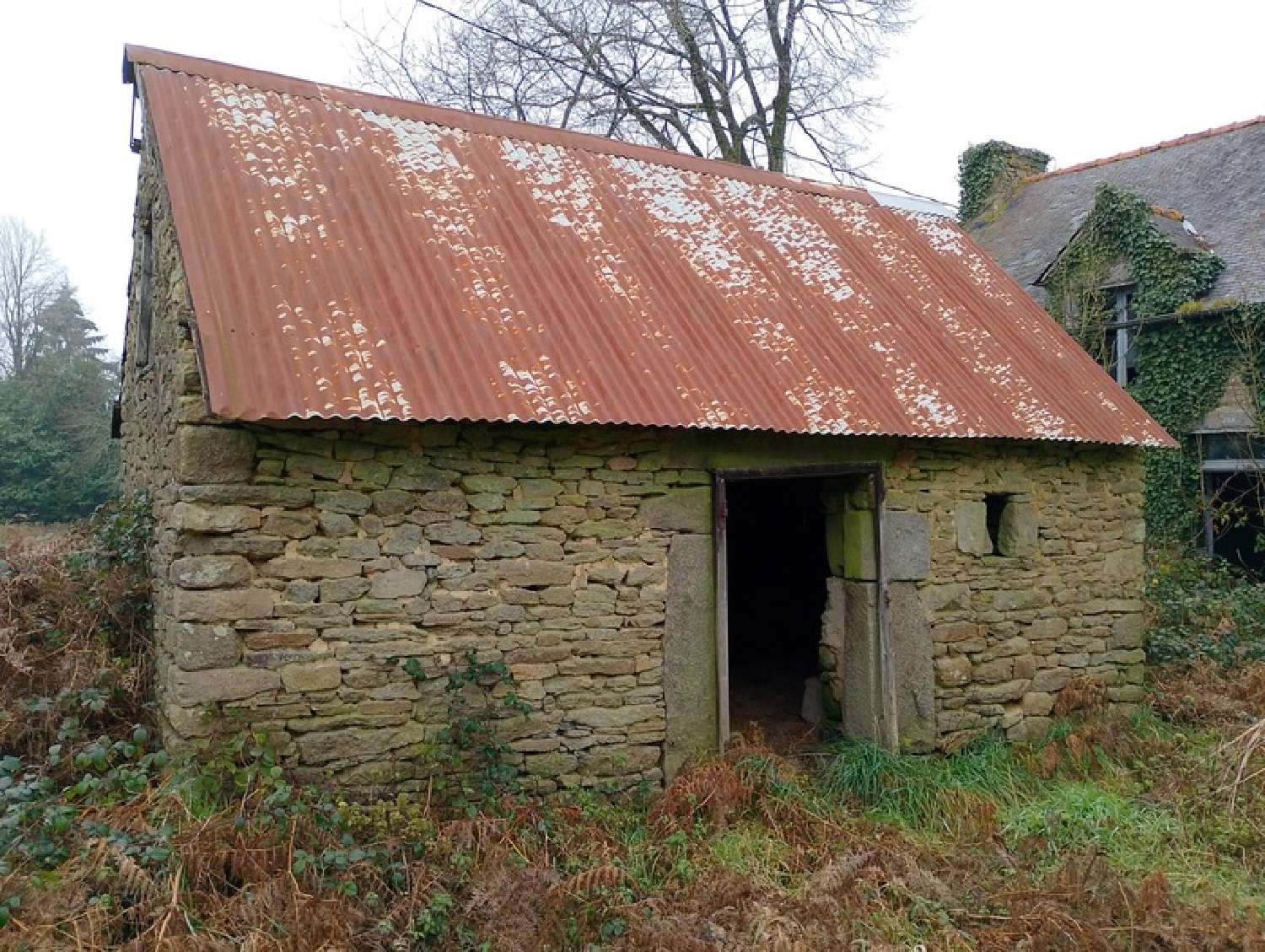  kaufen Haus Loscouët-sur-Meu Côtes-d'Armor 2