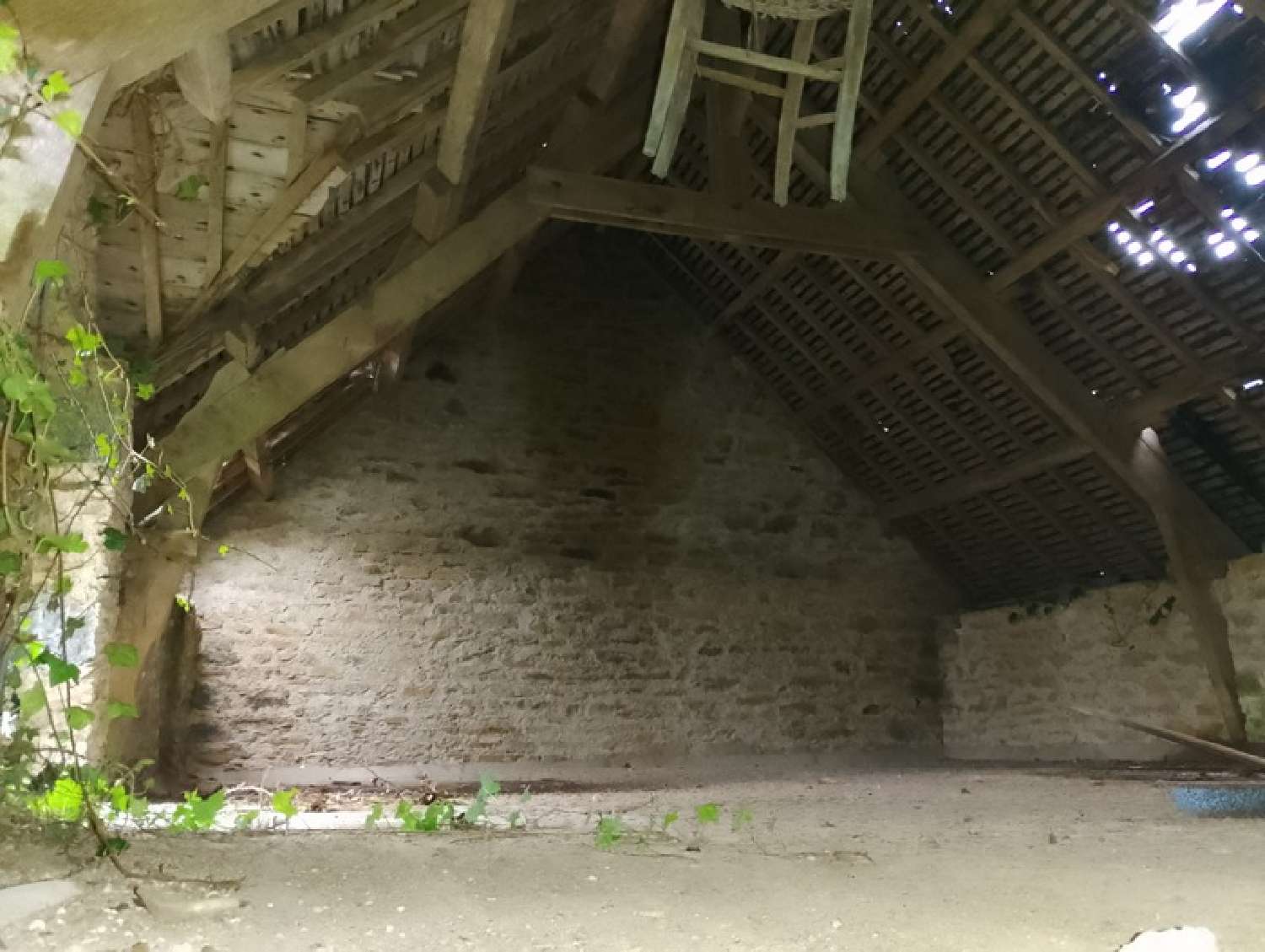  kaufen Haus Loscouët-sur-Meu Côtes-d'Armor 6