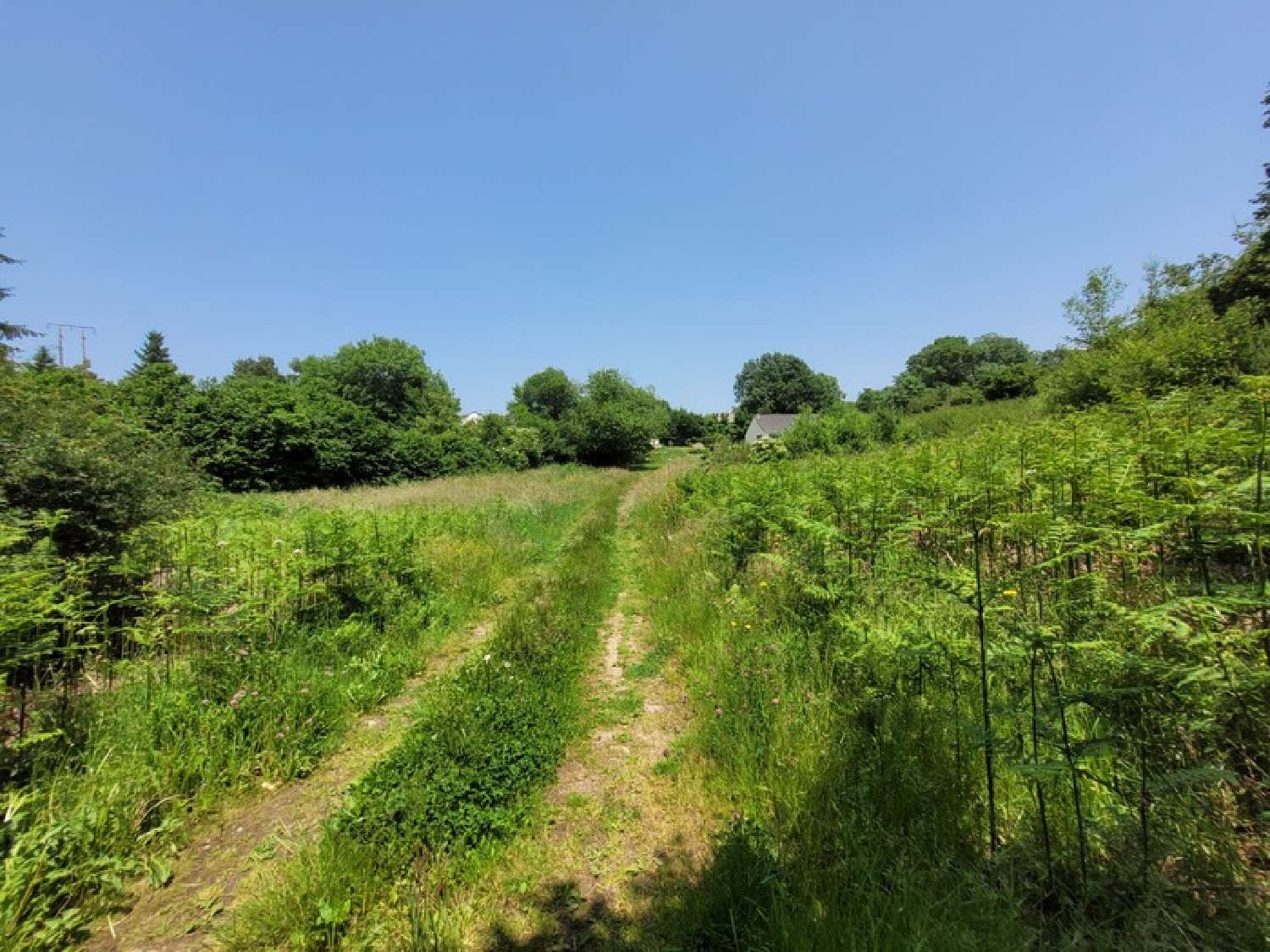  for sale house Loubeyrat Puy-de-Dôme 5