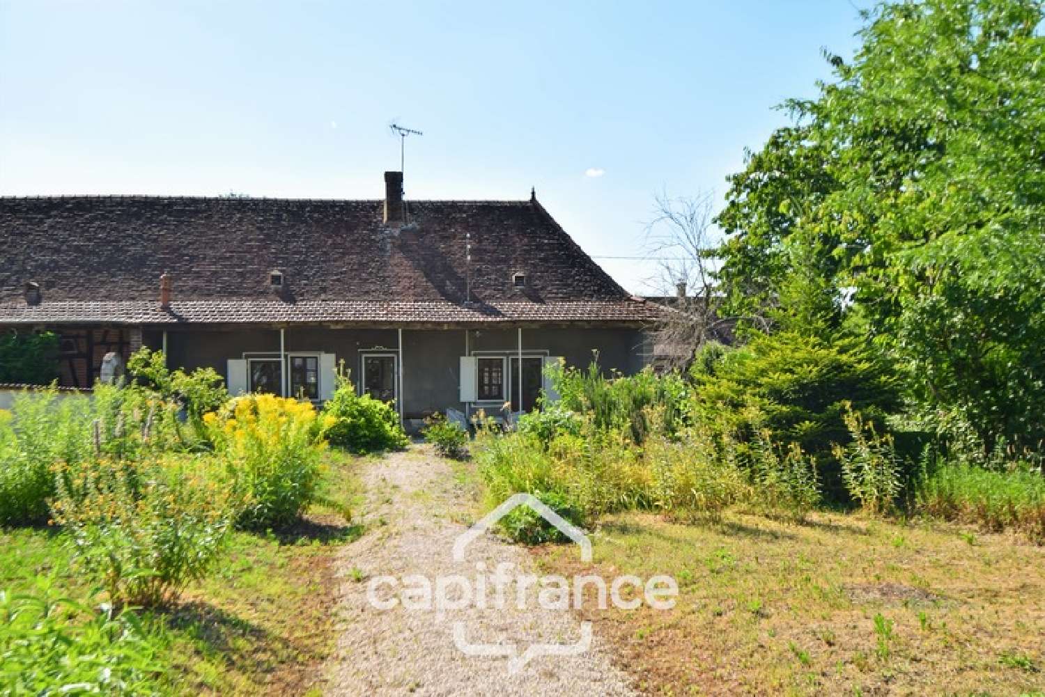  à vendre maison Louhans Saône-et-Loire 5