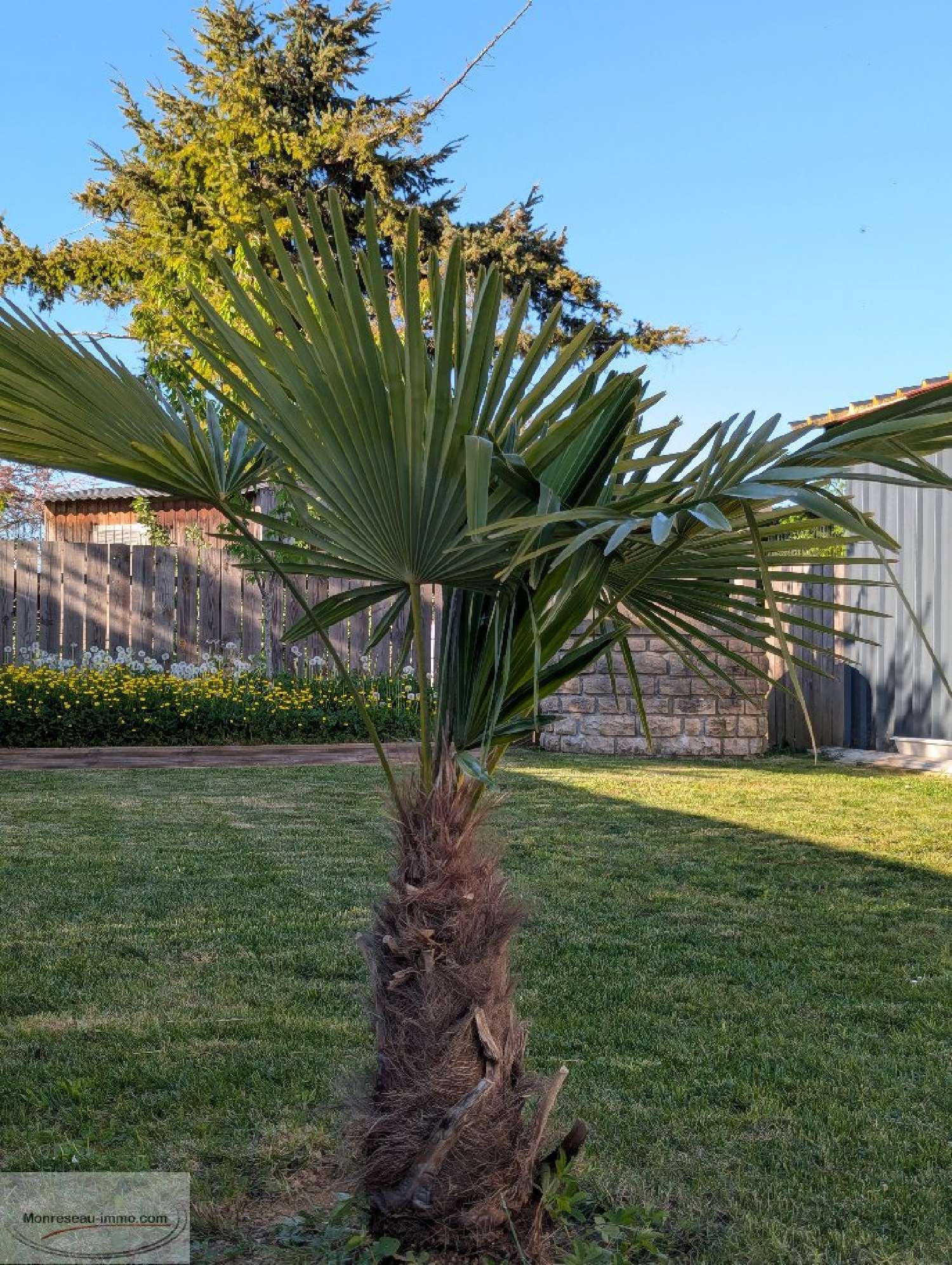  for sale house Lux Saône-et-Loire 5