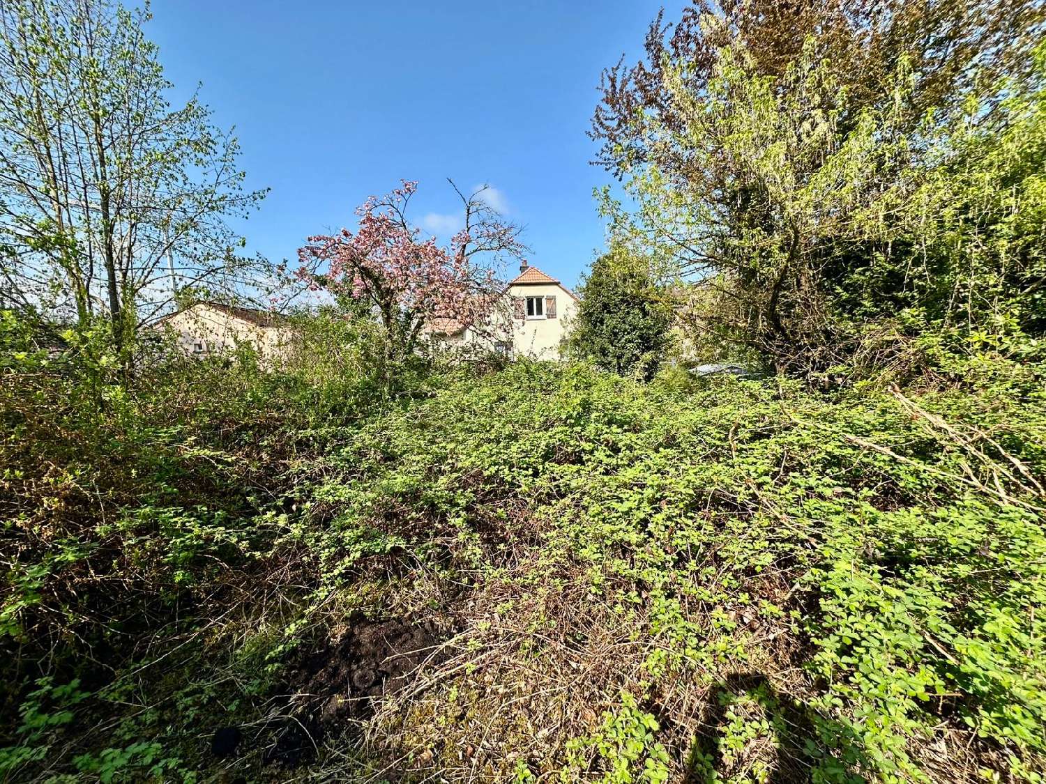  for sale house Luxeuil-les-Bains Haute-Saône 6