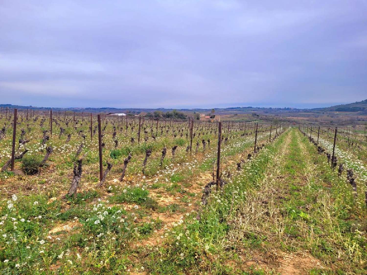  te koop huis Magalas Hérault 4