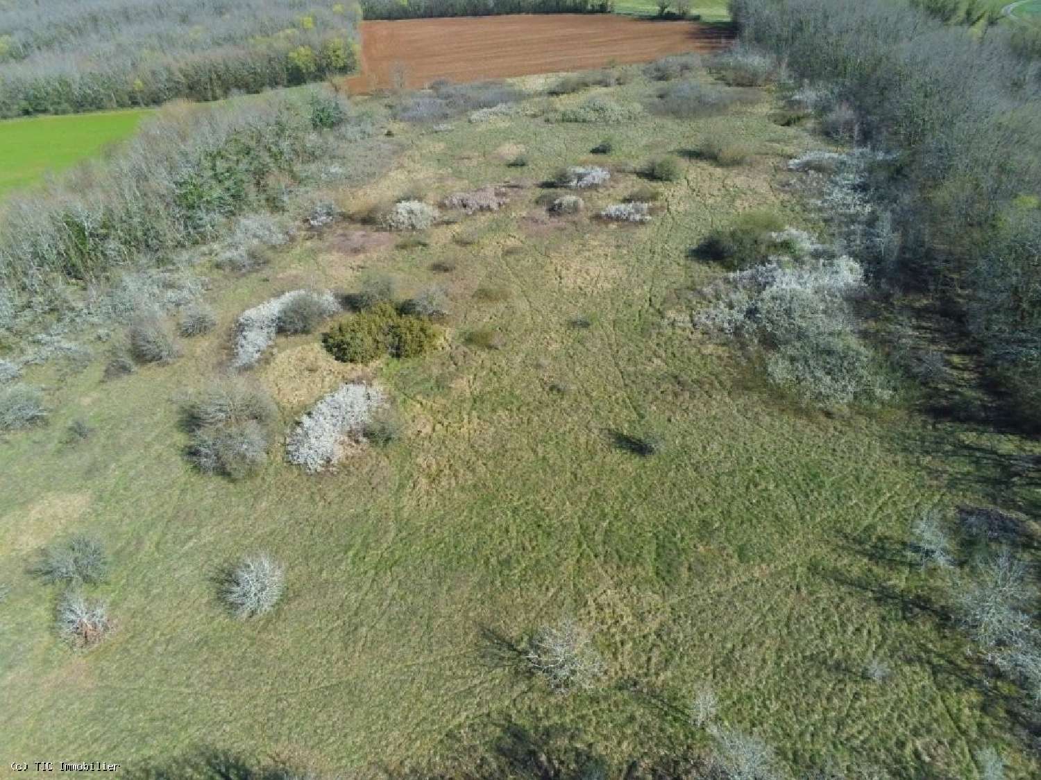  te koop huis Mansle Charente 5