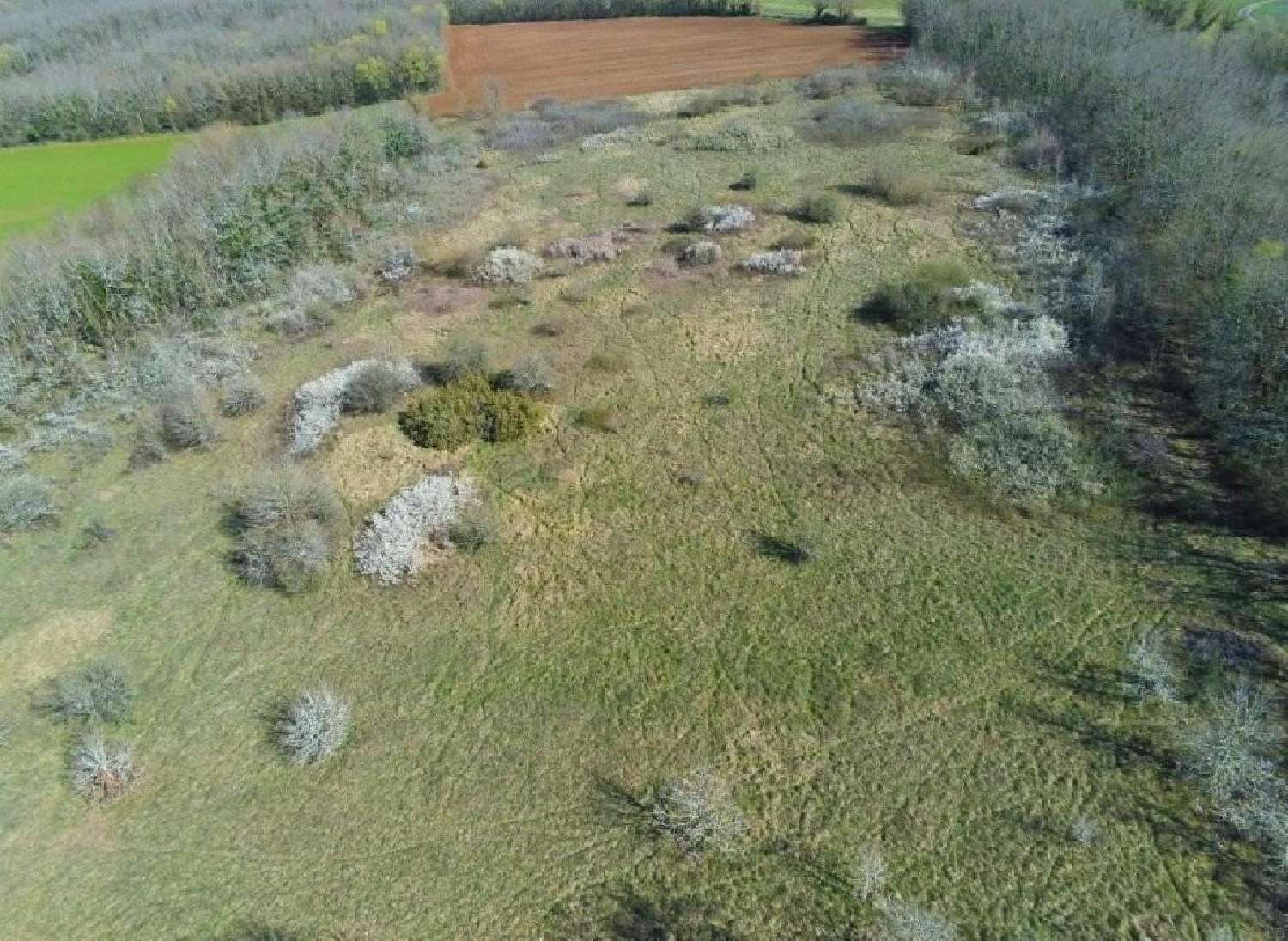  te koop huis Mansle Charente 5