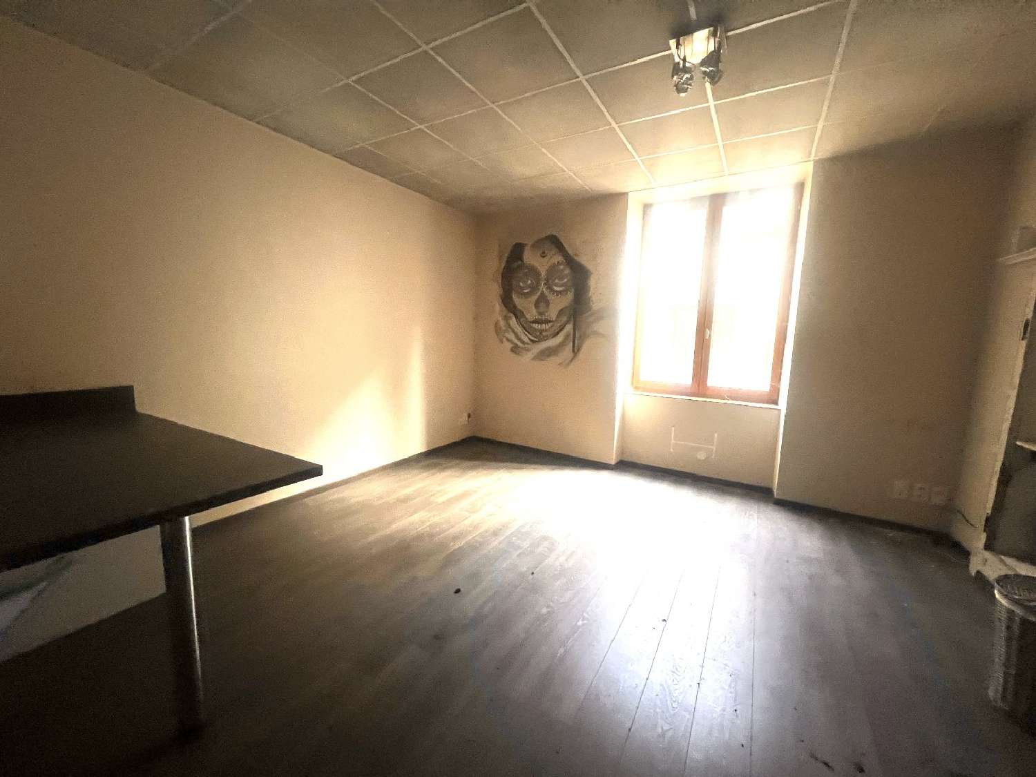  te koop huis Marvejols Lozère 2